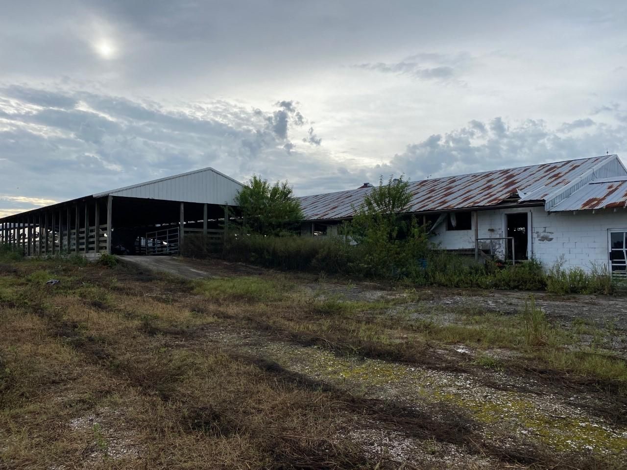 Mayo, Lafayette County, FL Farms and Ranches for sale Property ID