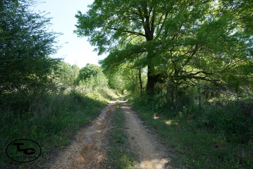 40 acres in Sawyerville, AL, 36776 LandWatch