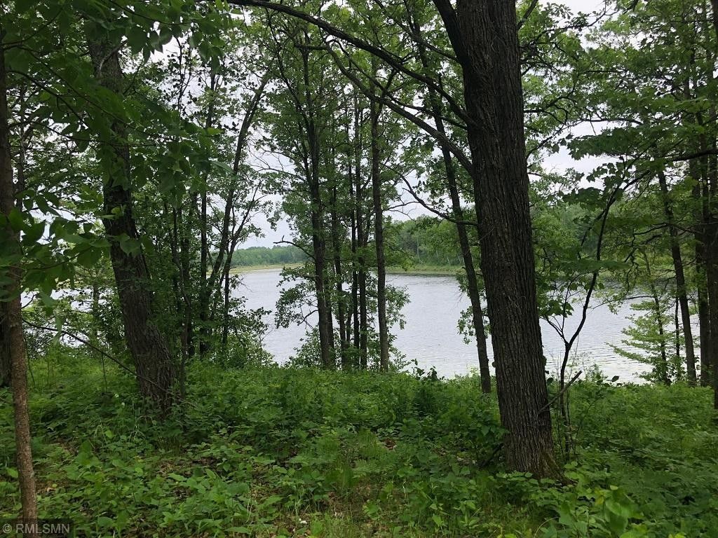 Walker, Cass County, MN Undeveloped Land, Lakefront Property