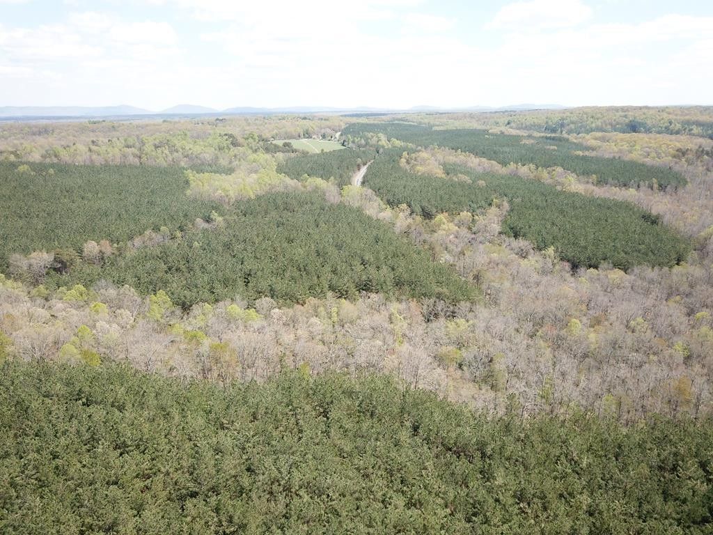 Crossville, Cumberland County, TN Undeveloped Land for sale Property ID