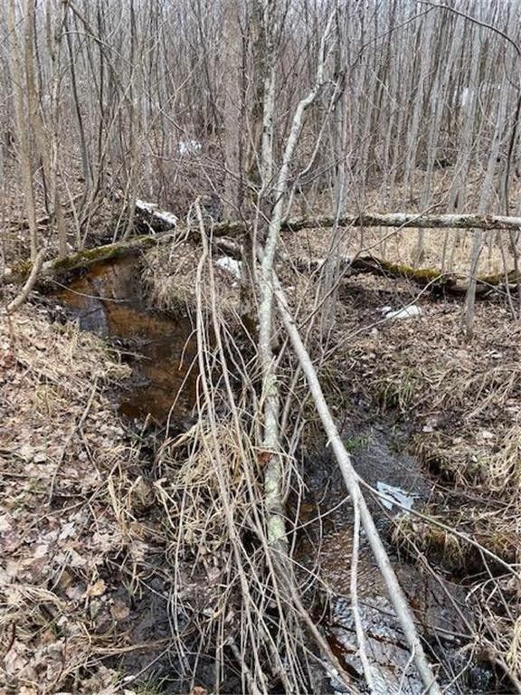 Holyoke, Carlton County, MN Undeveloped Land for sale Property ID