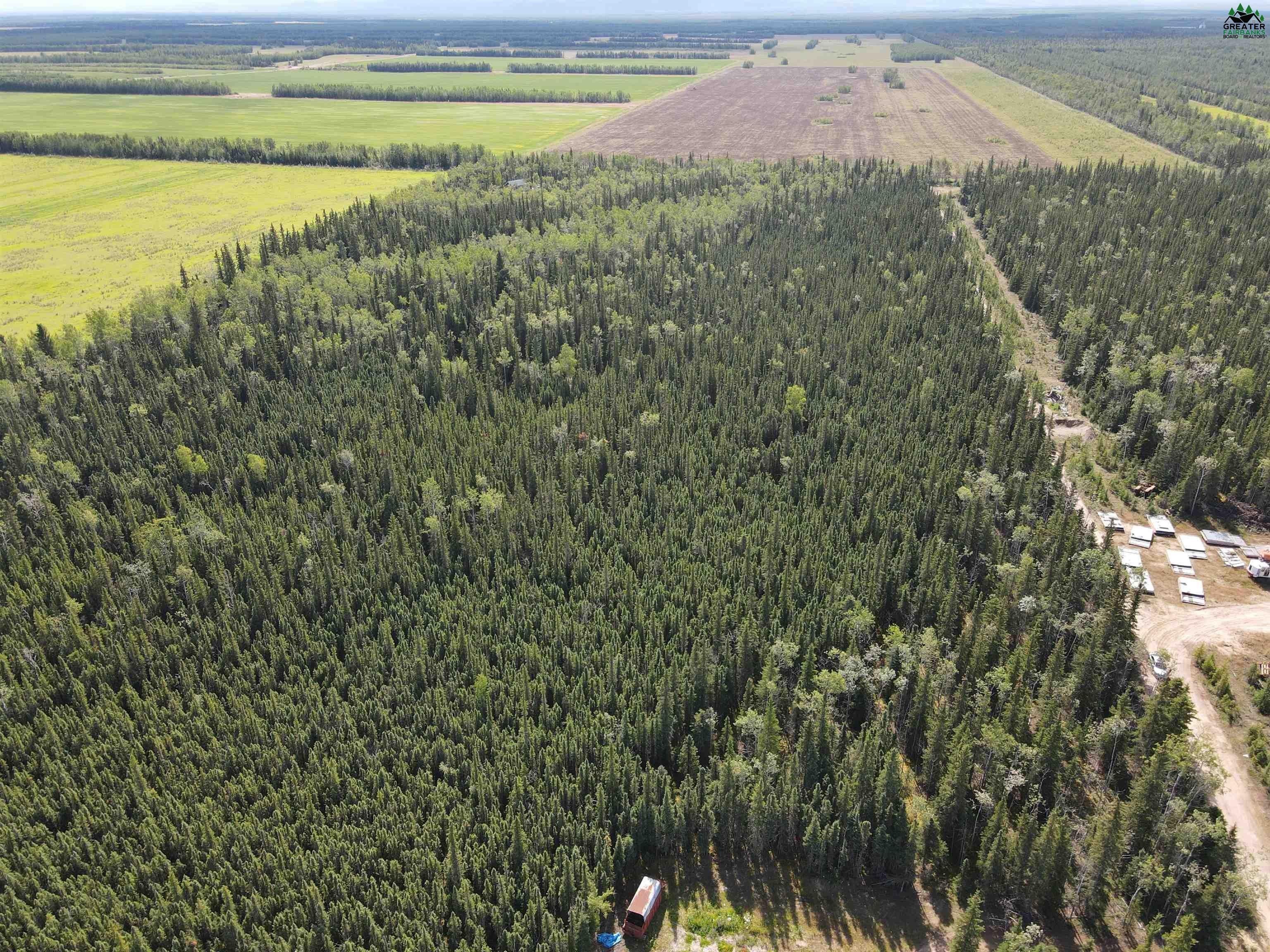 Delta Junction, Southeast Fairbanks Borough, AK Undeveloped Land