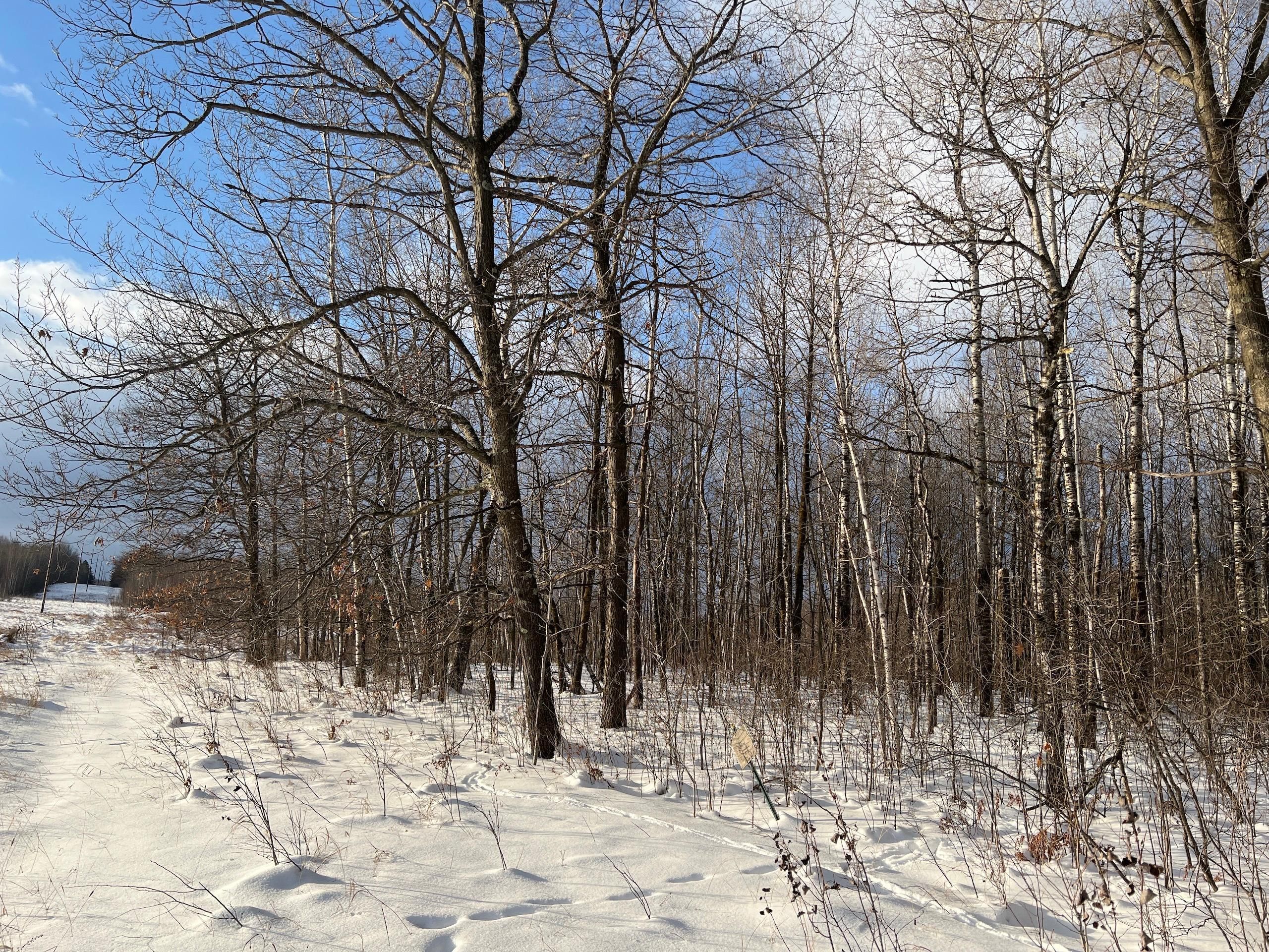 Hinckley, Pine County, MN Recreational Property, Hunting Property for