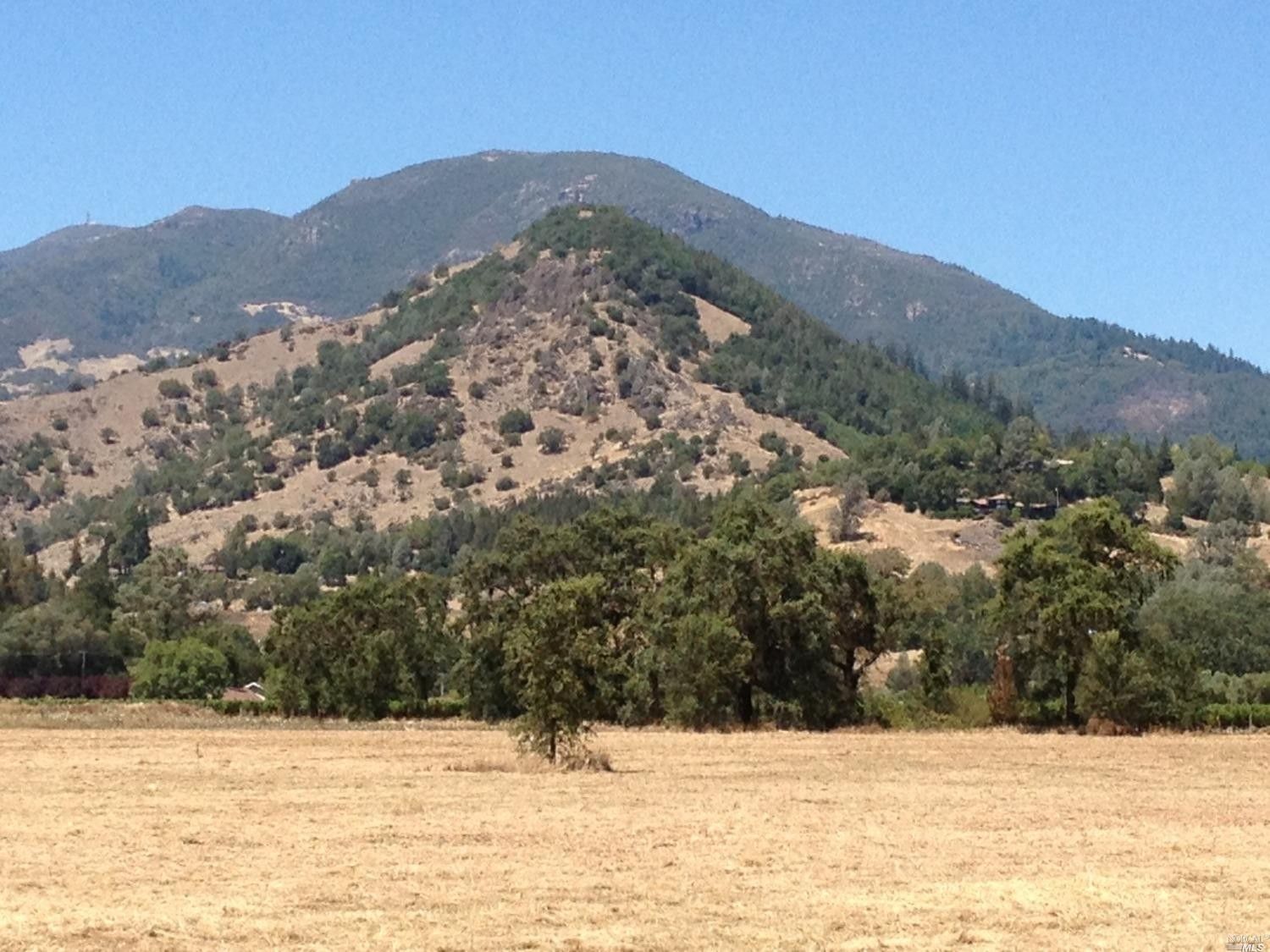 Calistoga, Napa County, CA Farms and Ranches for sale Property ID