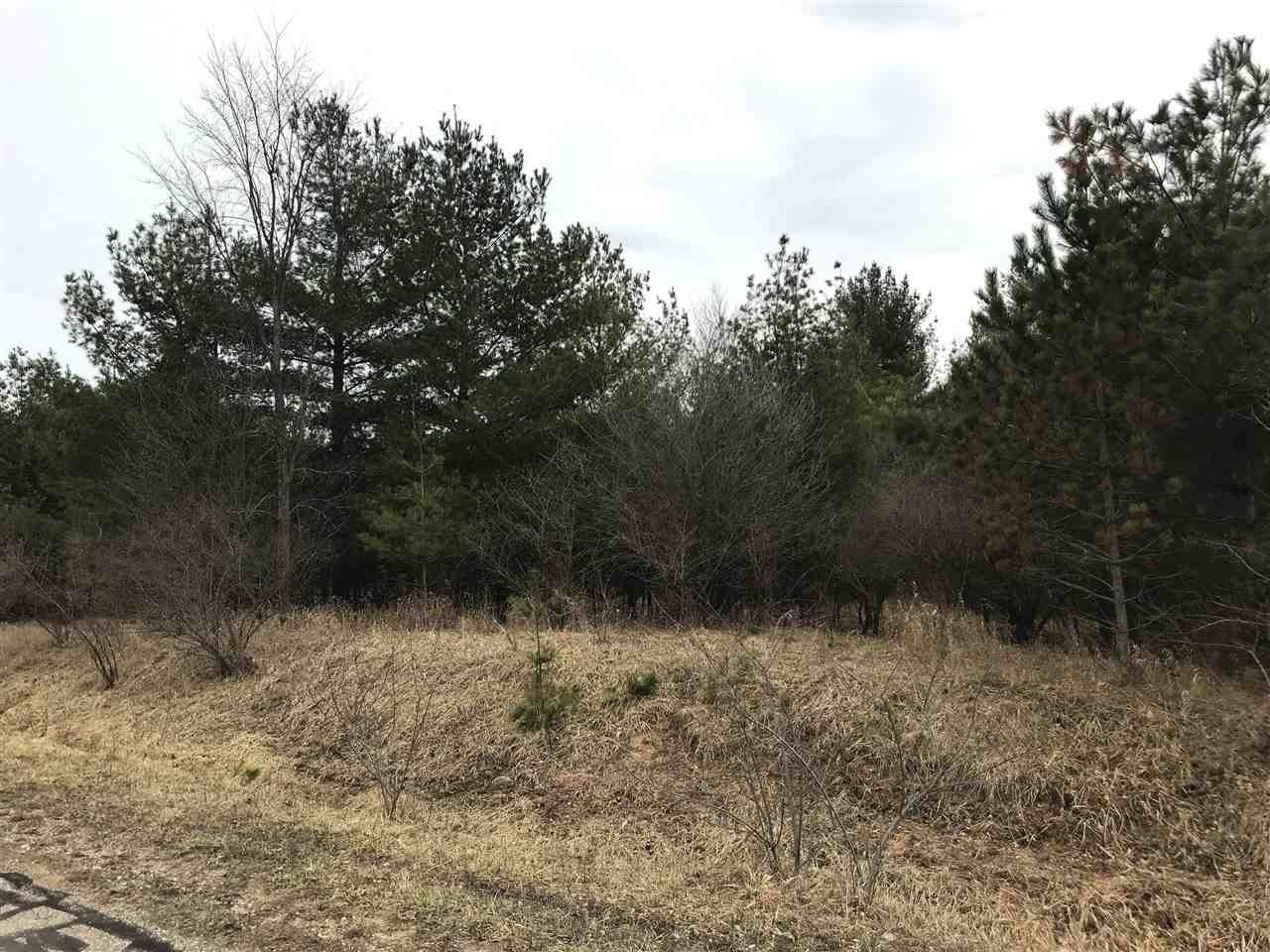 Gladwin, Gladwin County, MI Undeveloped Land, Lakefront Property