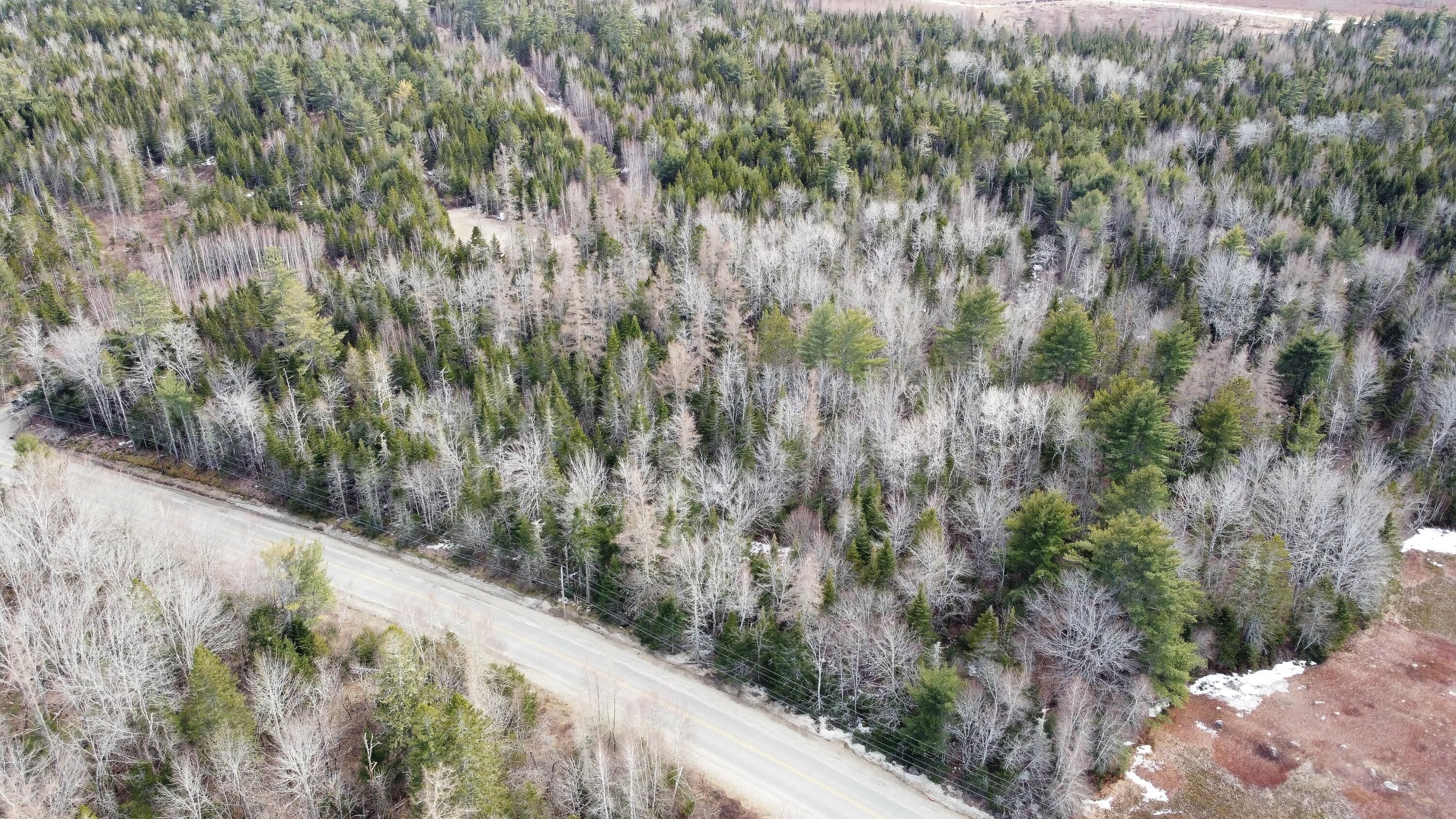 Northfield, Washington County, ME Undeveloped Land, Homesites for sale