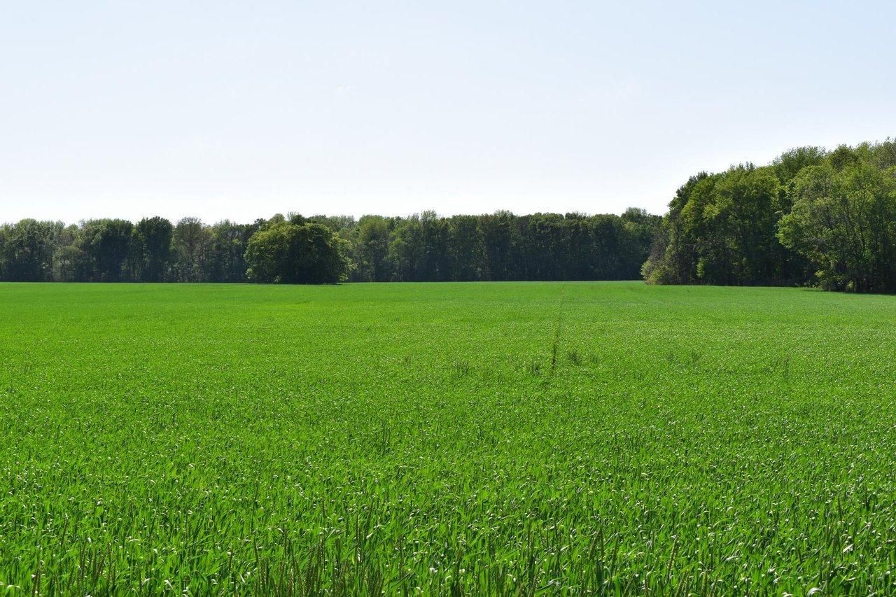 Lexa, Phillips County, AR Farms and Ranches, Hunting Property for sale