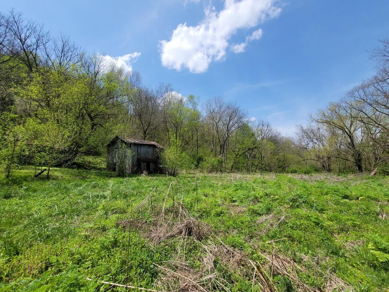 Lancaster, Garrard County, KY Farms and Ranches for sale Property ID