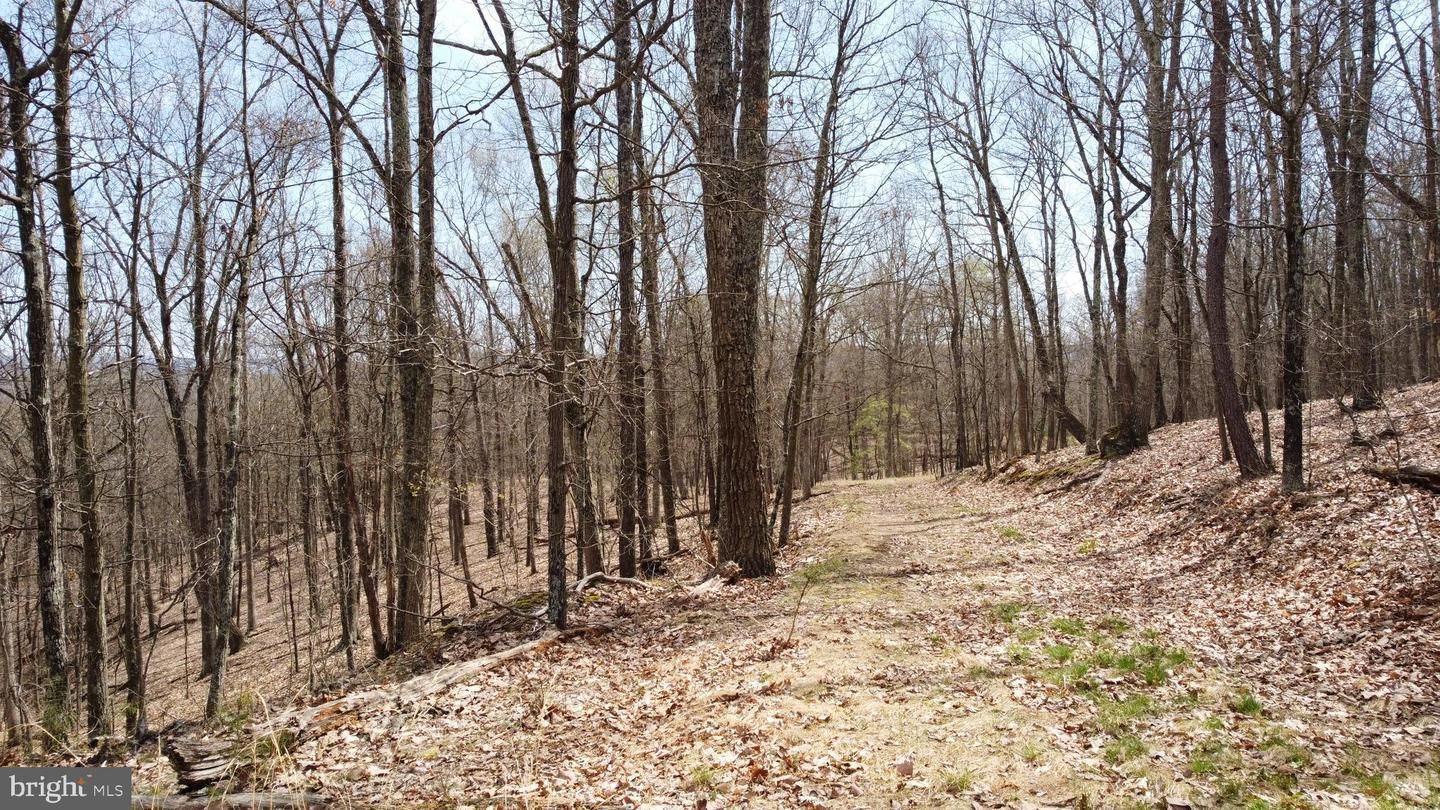 Burlington, Mineral County, WV Recreational Property for sale Property