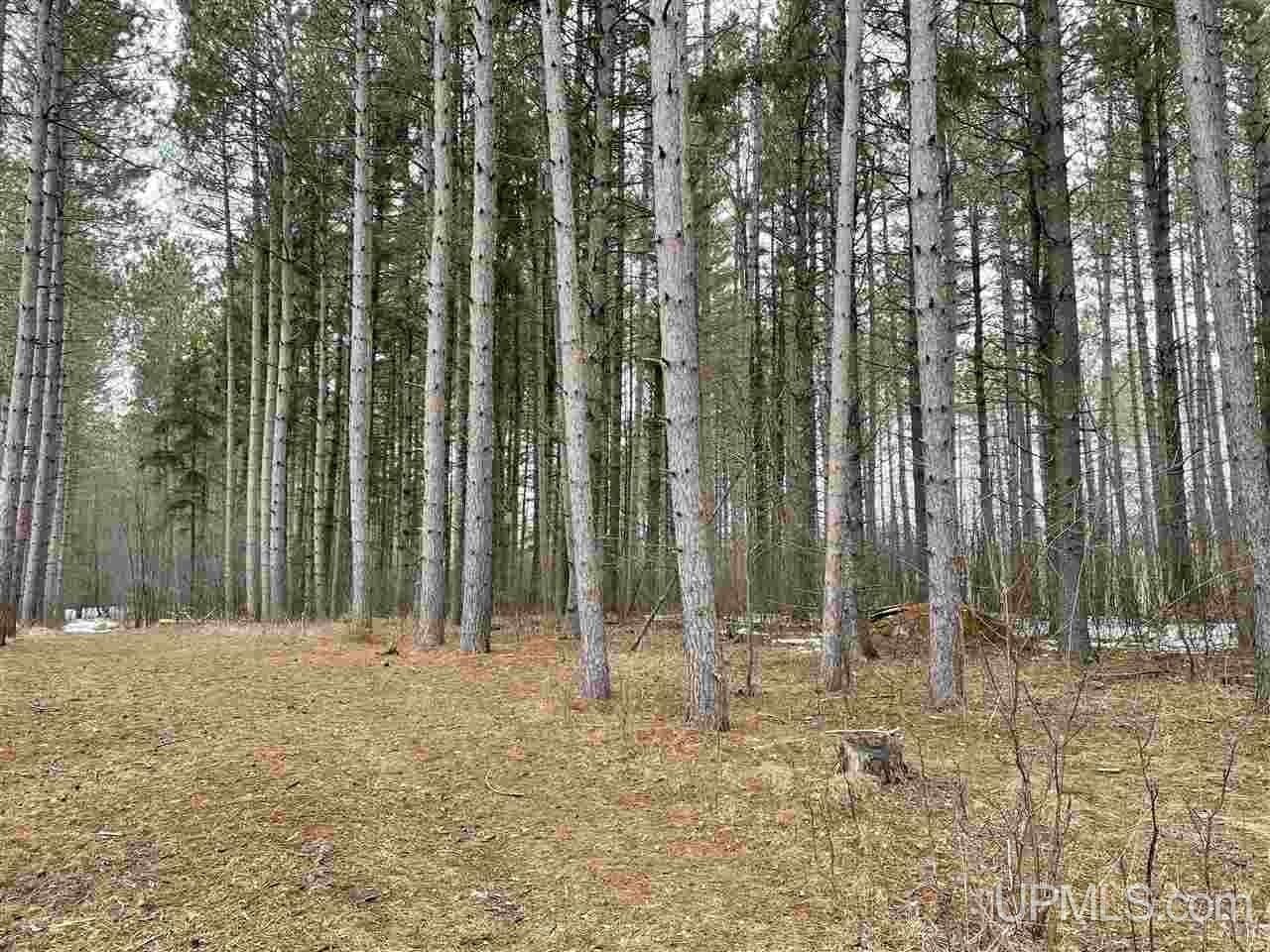Ironwood, Gogebic County, MI Undeveloped Land for sale Property ID