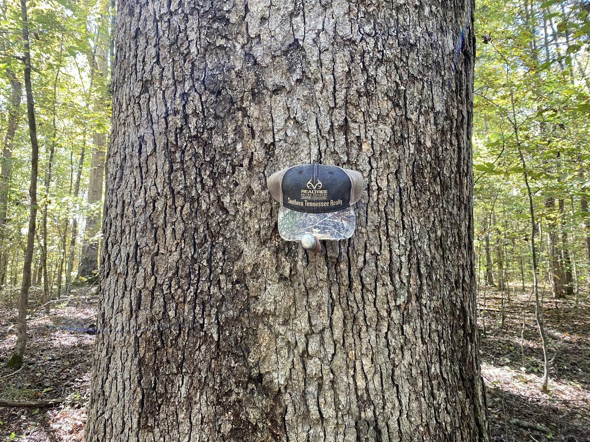 Collinwood Rd, Westpoint, TN 38486 MLS 2368835 LandWatch