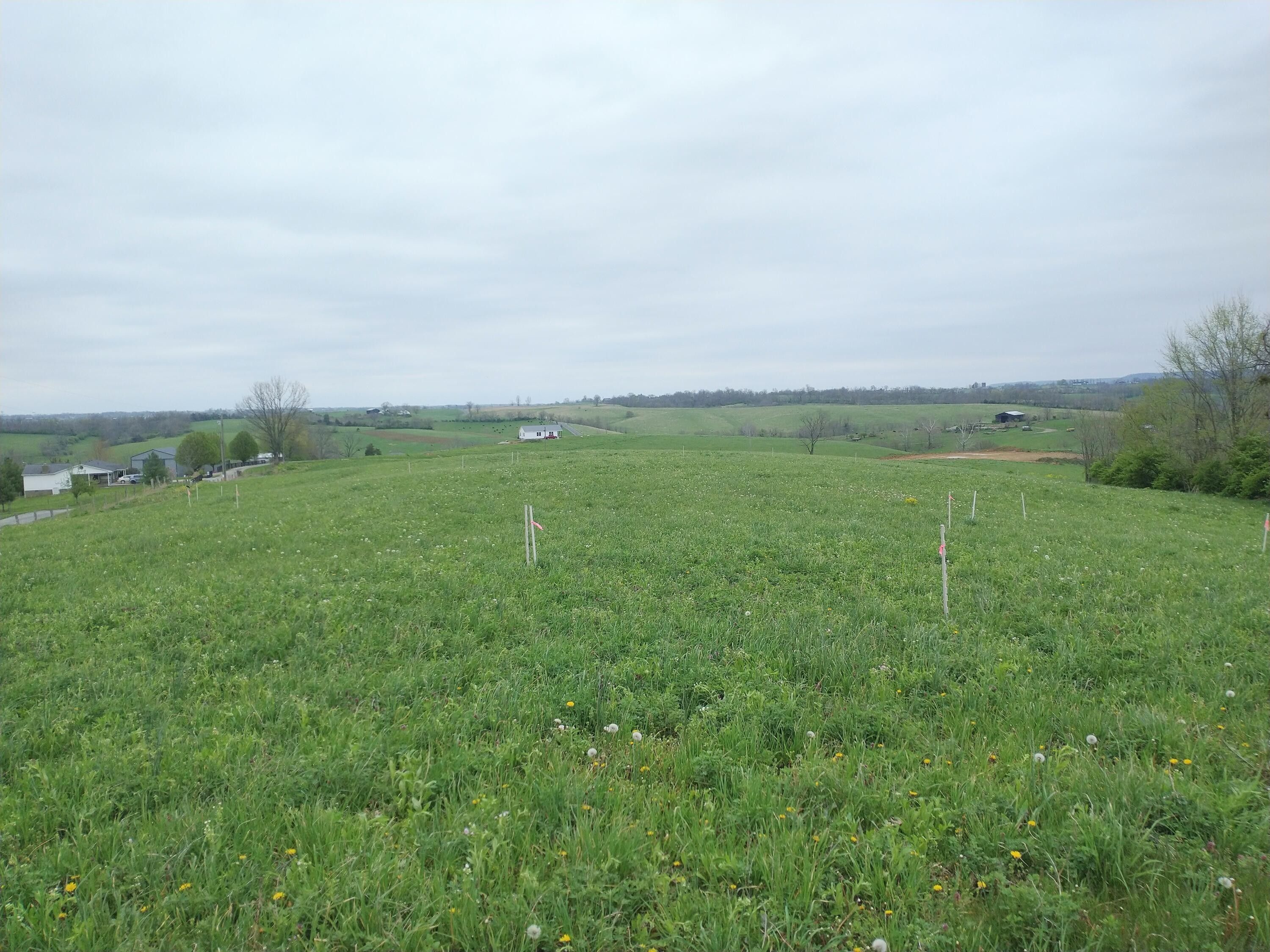Flemingsburg, Fleming County, KY Farms and Ranches for sale Property ID