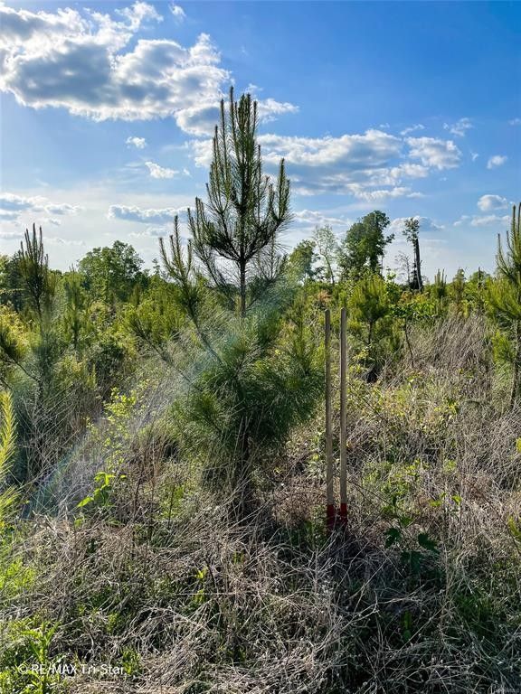 Dixons Mills, Marengo County, AL Farms and Ranches for sale Property ID