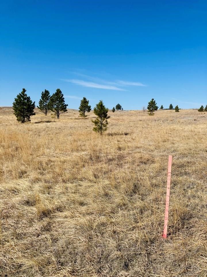 Hermosa, Pennington County, SD Undeveloped Land, Homesites for sale