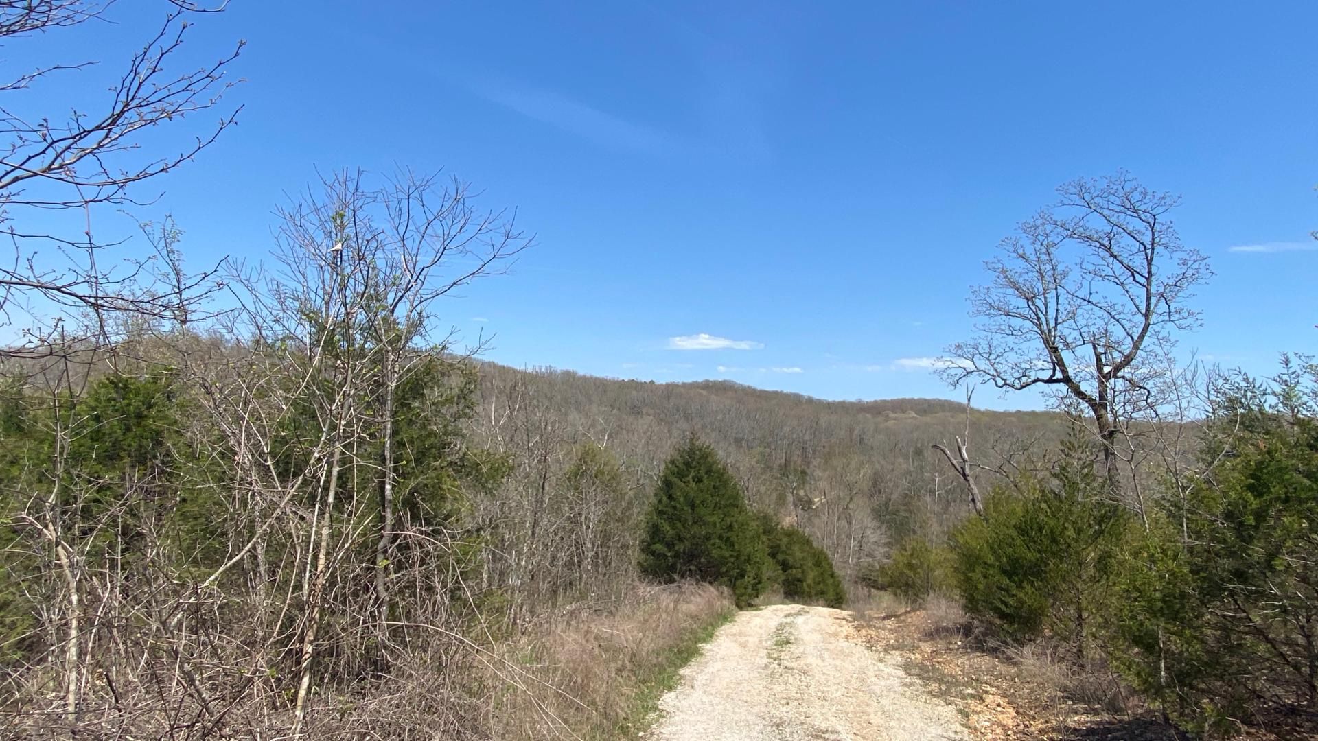 Gainesville, Ozark County, MO Timberland Property, Undeveloped Land