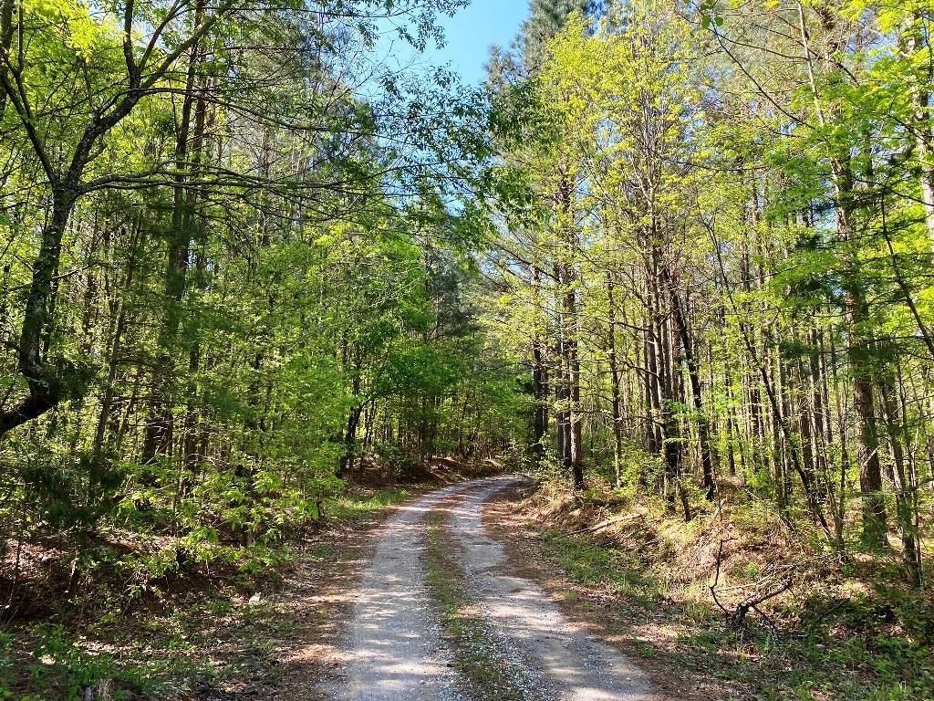 Cherokee, Colbert County, AL Farms and Ranches, Timberland Property