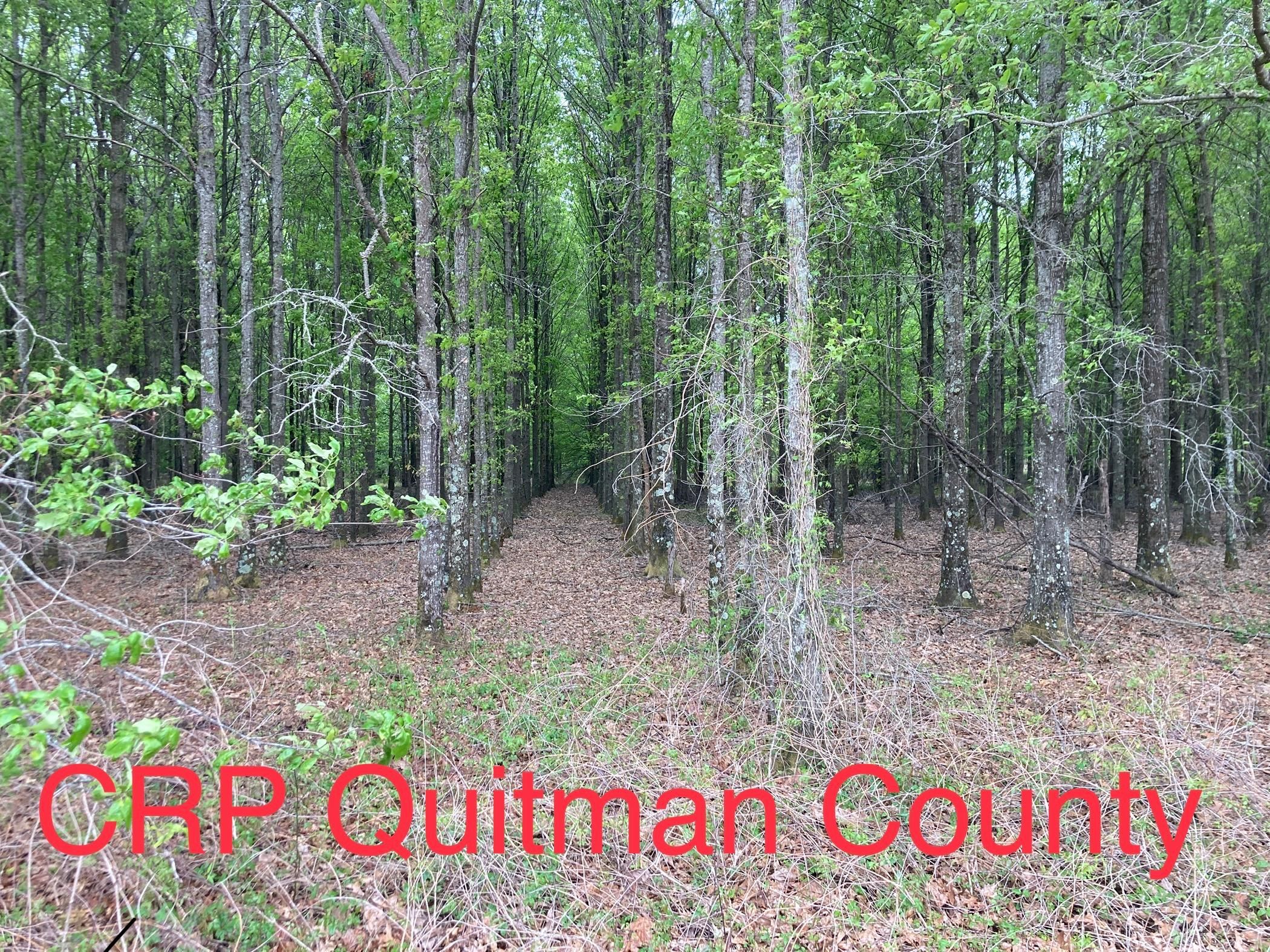 Marks, Quitman County, MS Farms and Ranches, Timberland Property