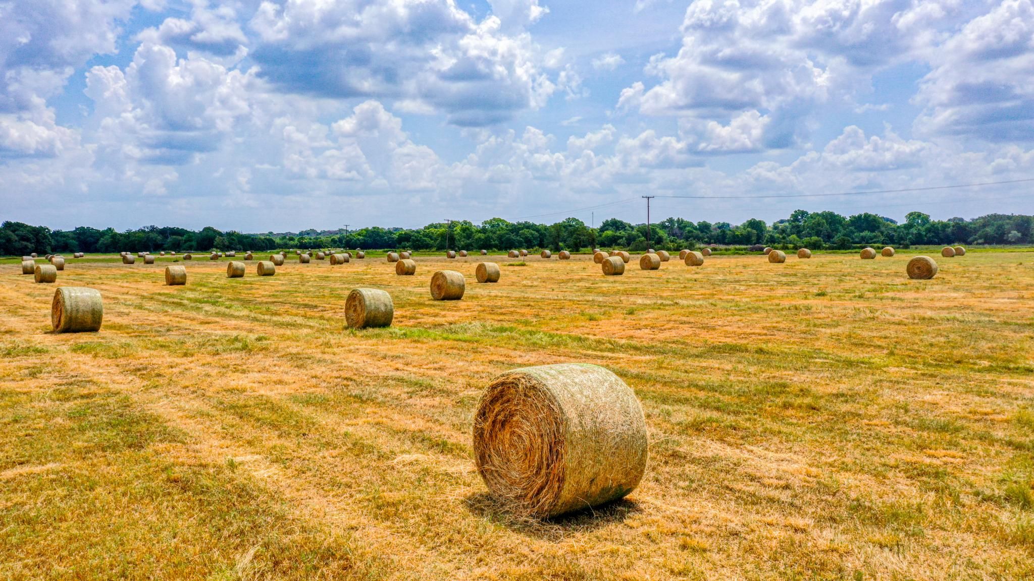 Dublin, Erath County, TX Farms and Ranches, Horse Property for sale