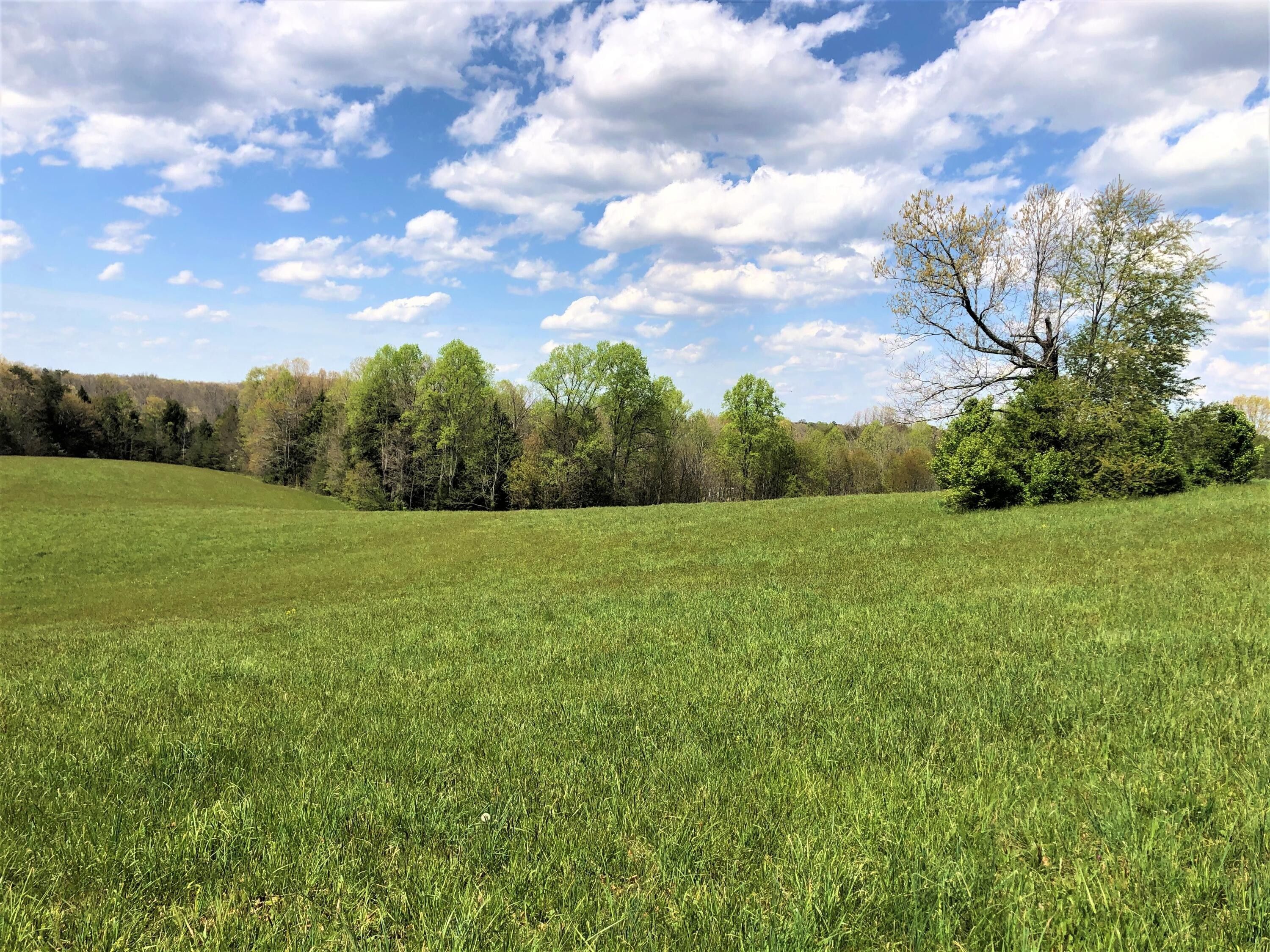 London, Laurel County, KY Farms and Ranches for sale Property ID