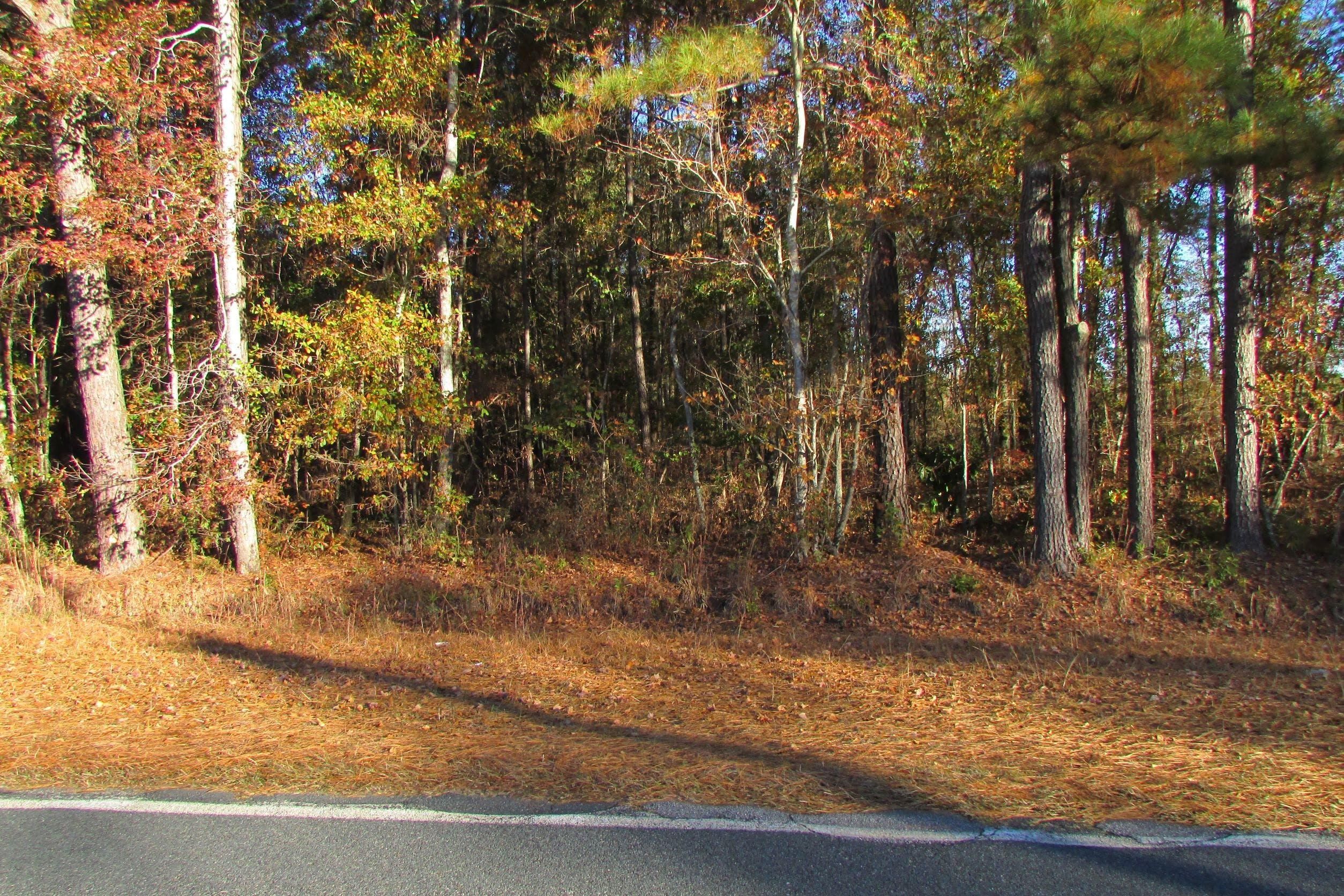 37.98 acres in Sumter, SC, LandWatch