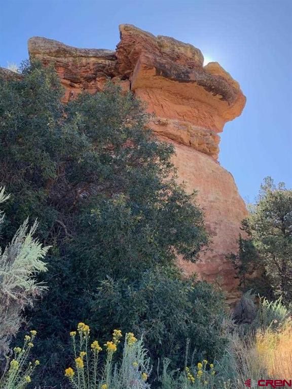 Cortez, Montezuma County, CO Farms and Ranches, House for sale Property