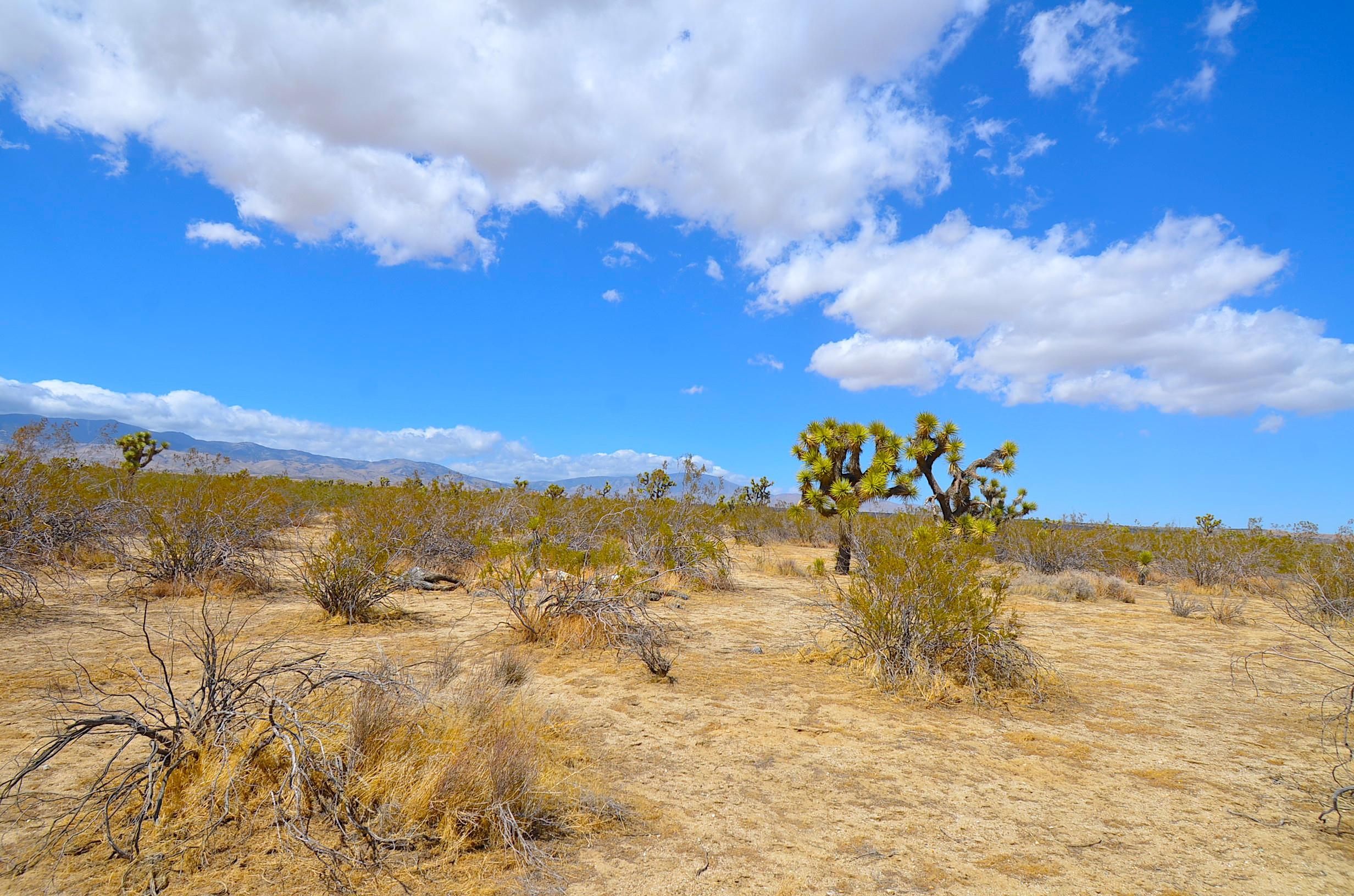 Mojave, Kern County, CA Farms and Ranches, Recreational Property