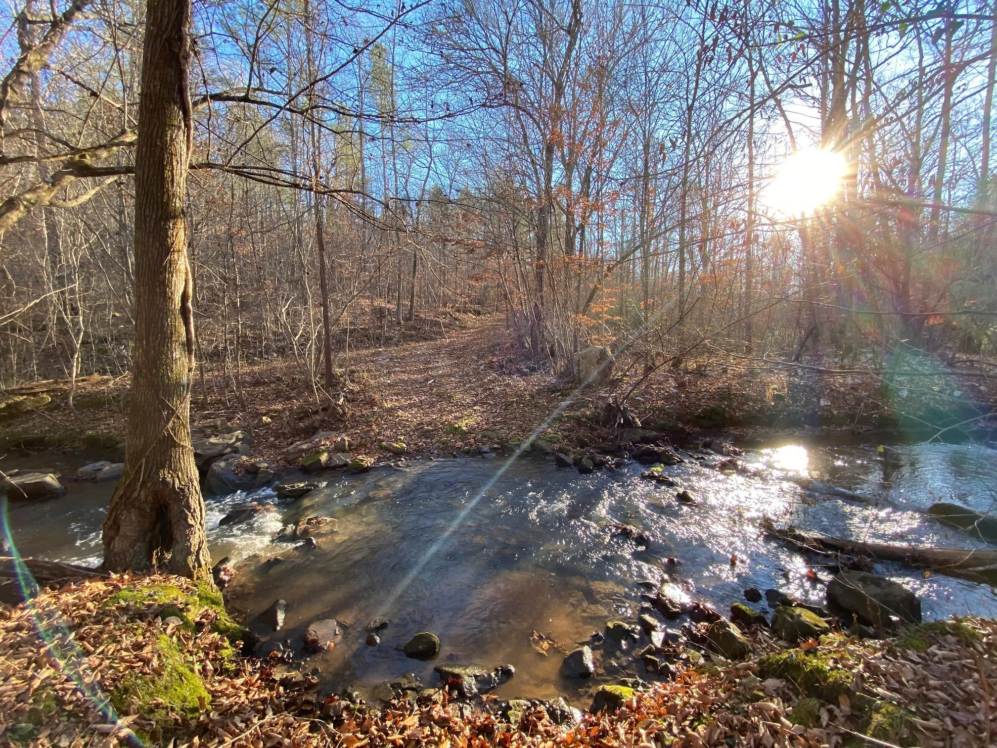 Springville, Saint Clair County, AL Recreational Property, Undeveloped
