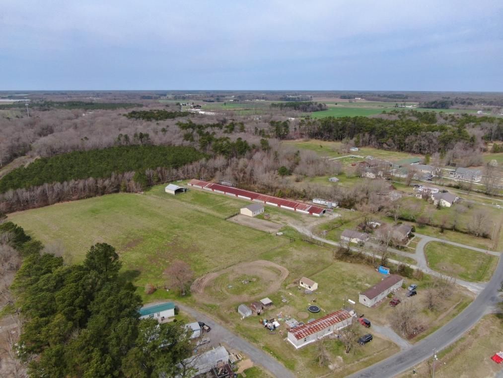 Willards, County, MD Farms and Ranches, Timberland Property