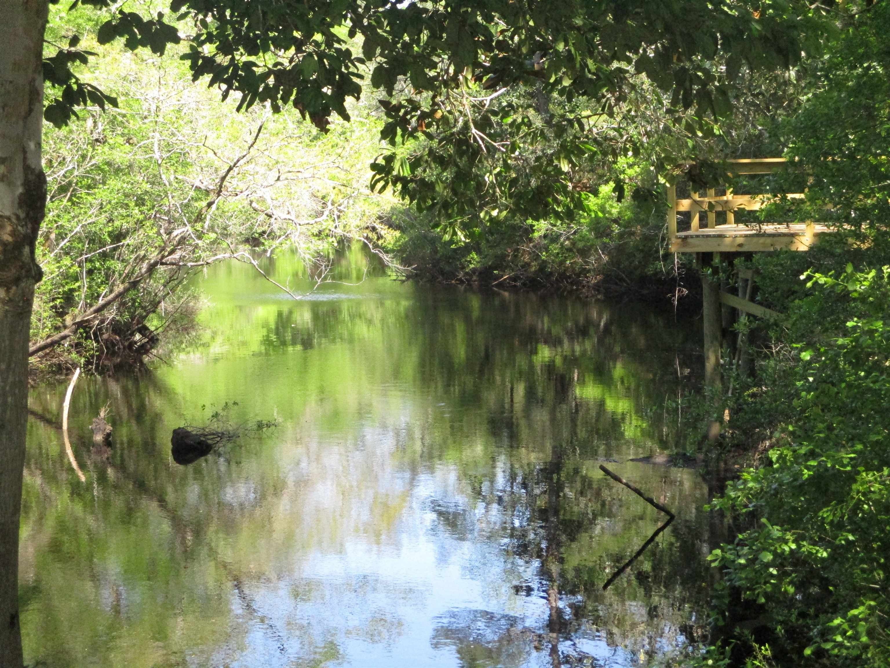 Sopchoppy, Wakulla County, FL Undeveloped Land, Lakefront Property