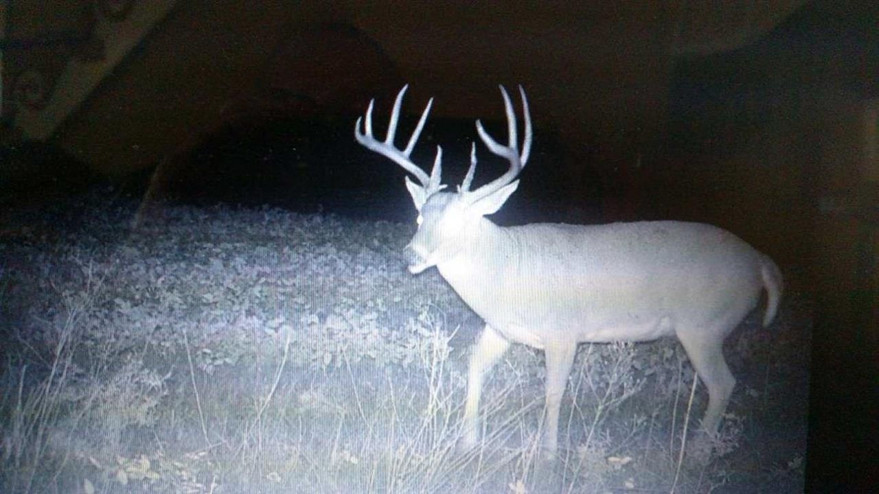 Mine Rd, Herod, IL 62947 MLS 22187 LandWatch