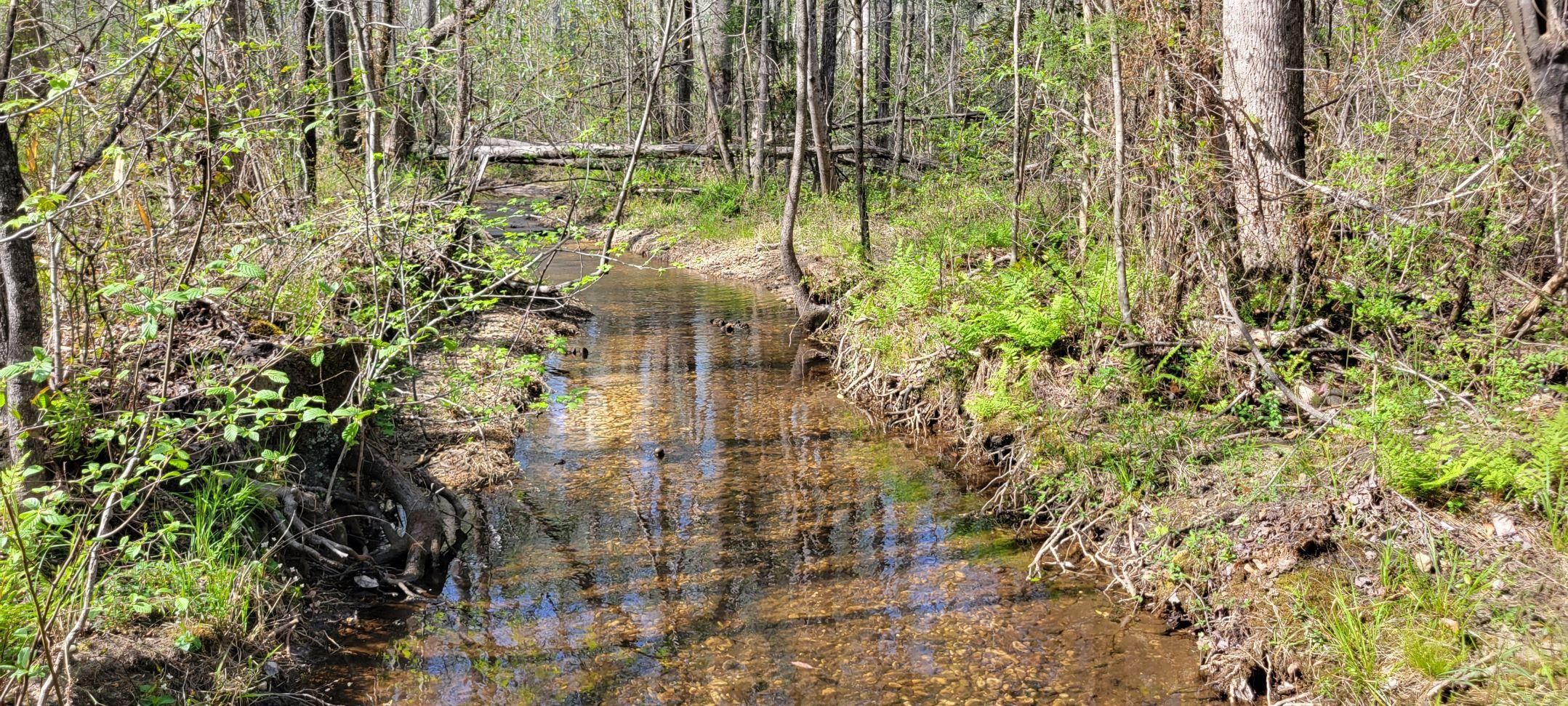 Salem, Lee County, AL Recreational Property, Hunting Property for sale