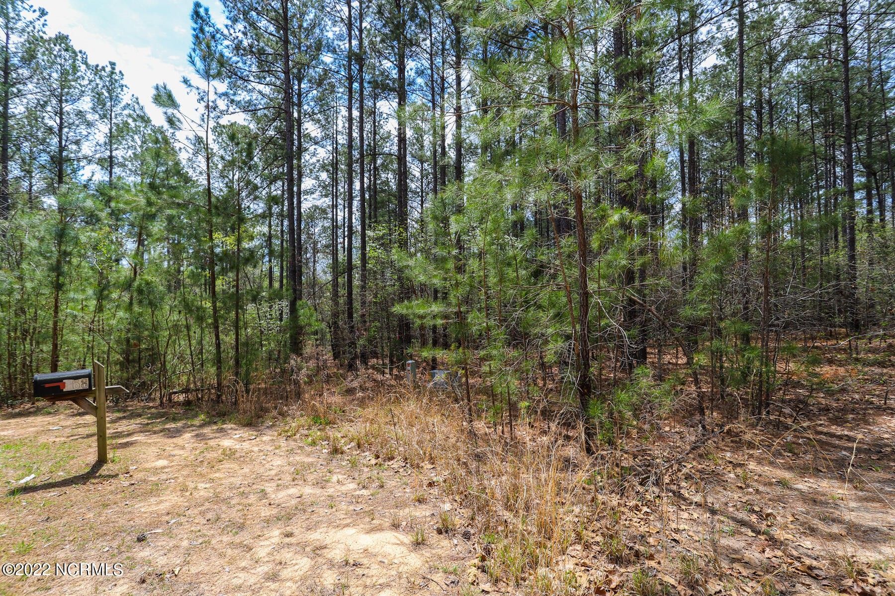168 Second Wind Court, Jackson Springs, NC 27281 MLS 100321276