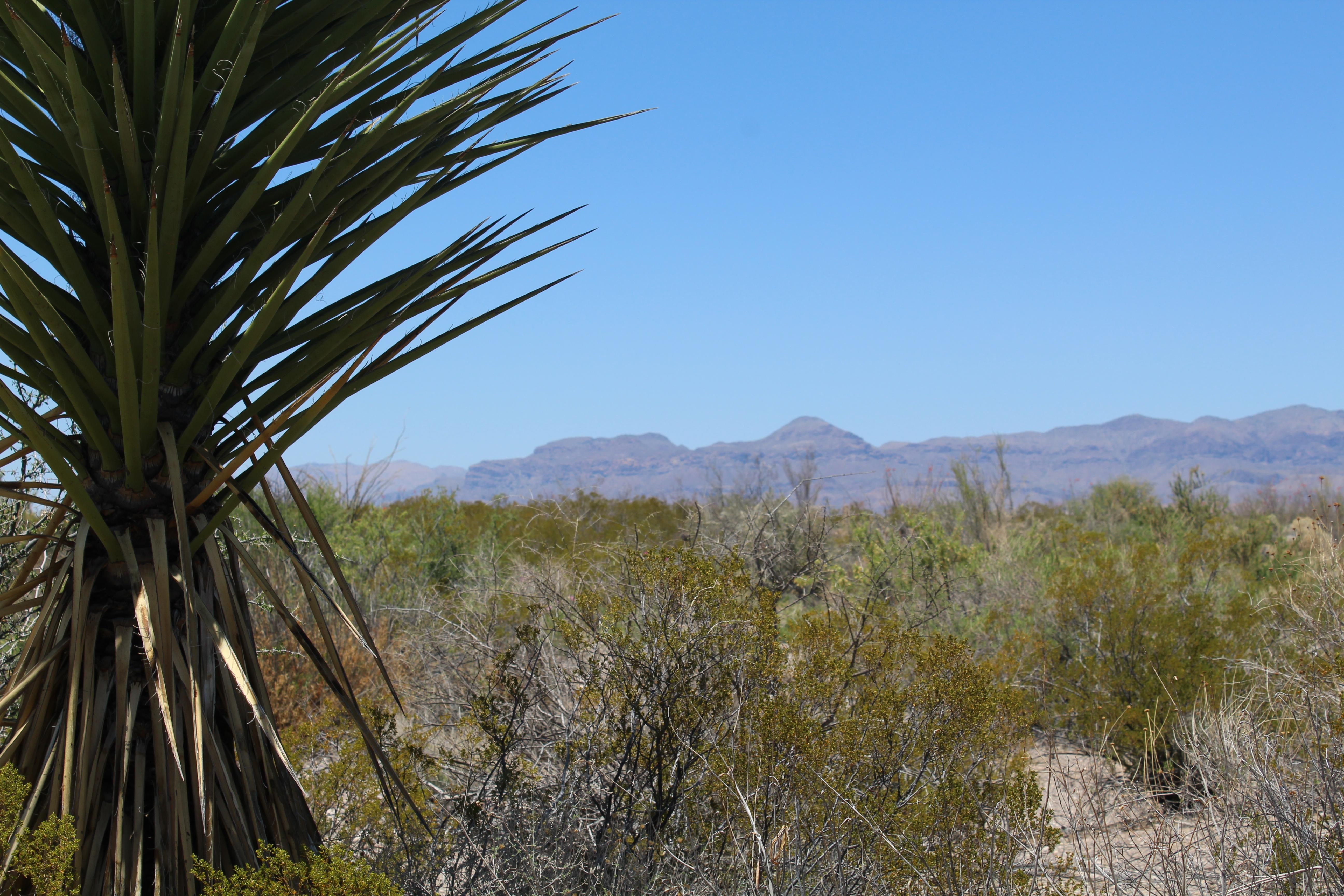 Marfa, Presidio County, TX Farms and Ranches, Recreational Property