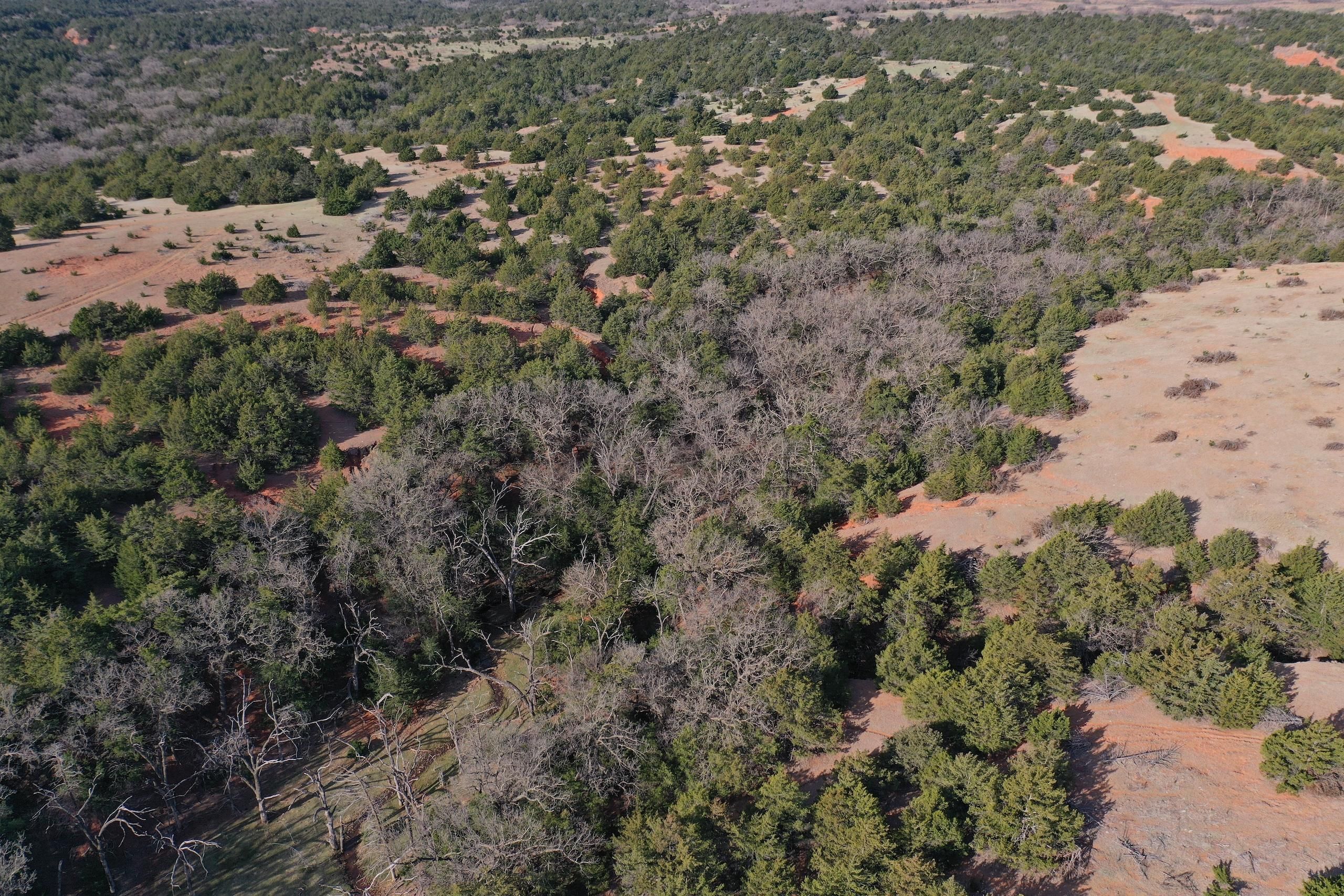 Mooreland, Woodward County, OK Recreational Property, Timberland