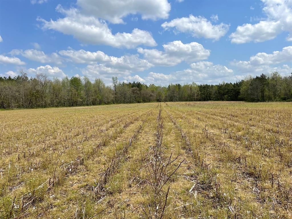 Whiteville, Hardeman County, TN Farms and Ranches for sale Property ID