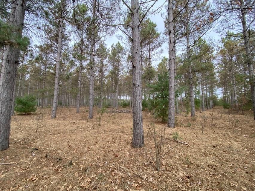 Hancock, Adams County, WI Recreational Property, Timberland Property