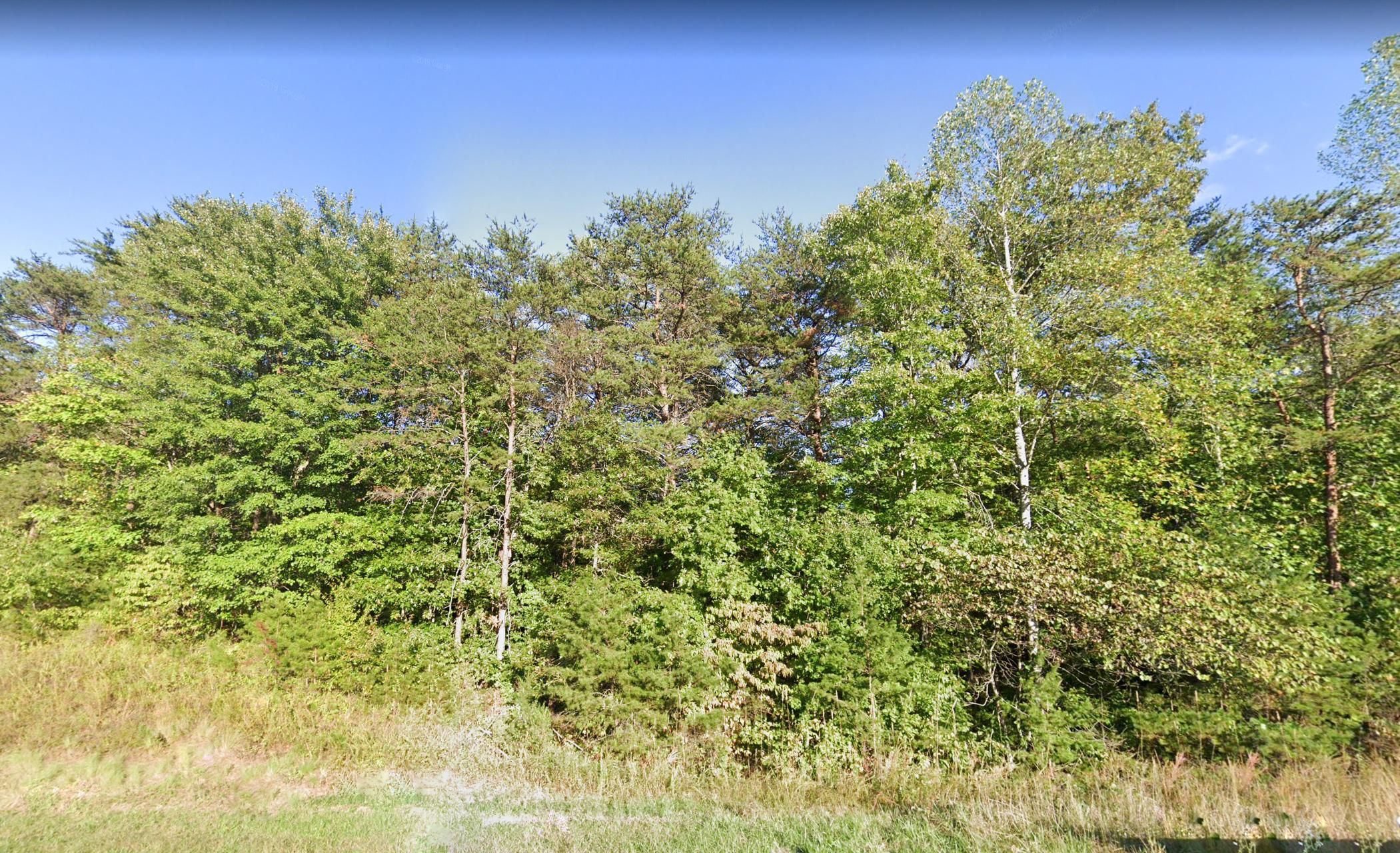 Lynch Station, Campbell County, VA Farms and Ranches, Undeveloped Land