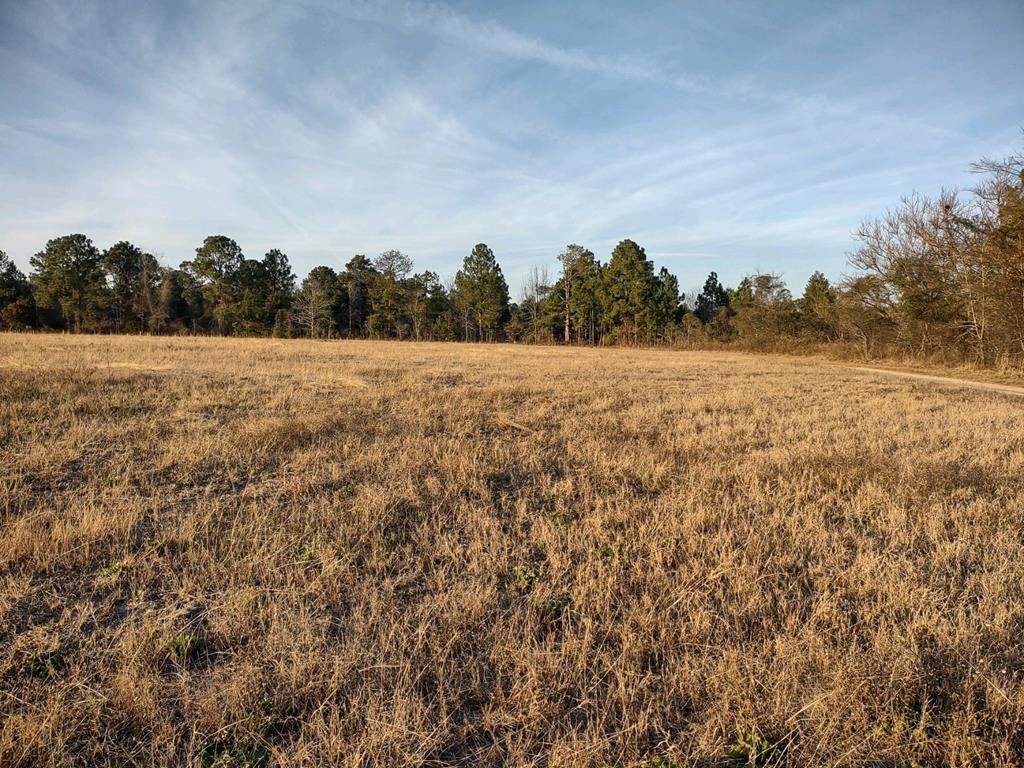 Junction City, Talbot County, GA Undeveloped Land for sale Property ID