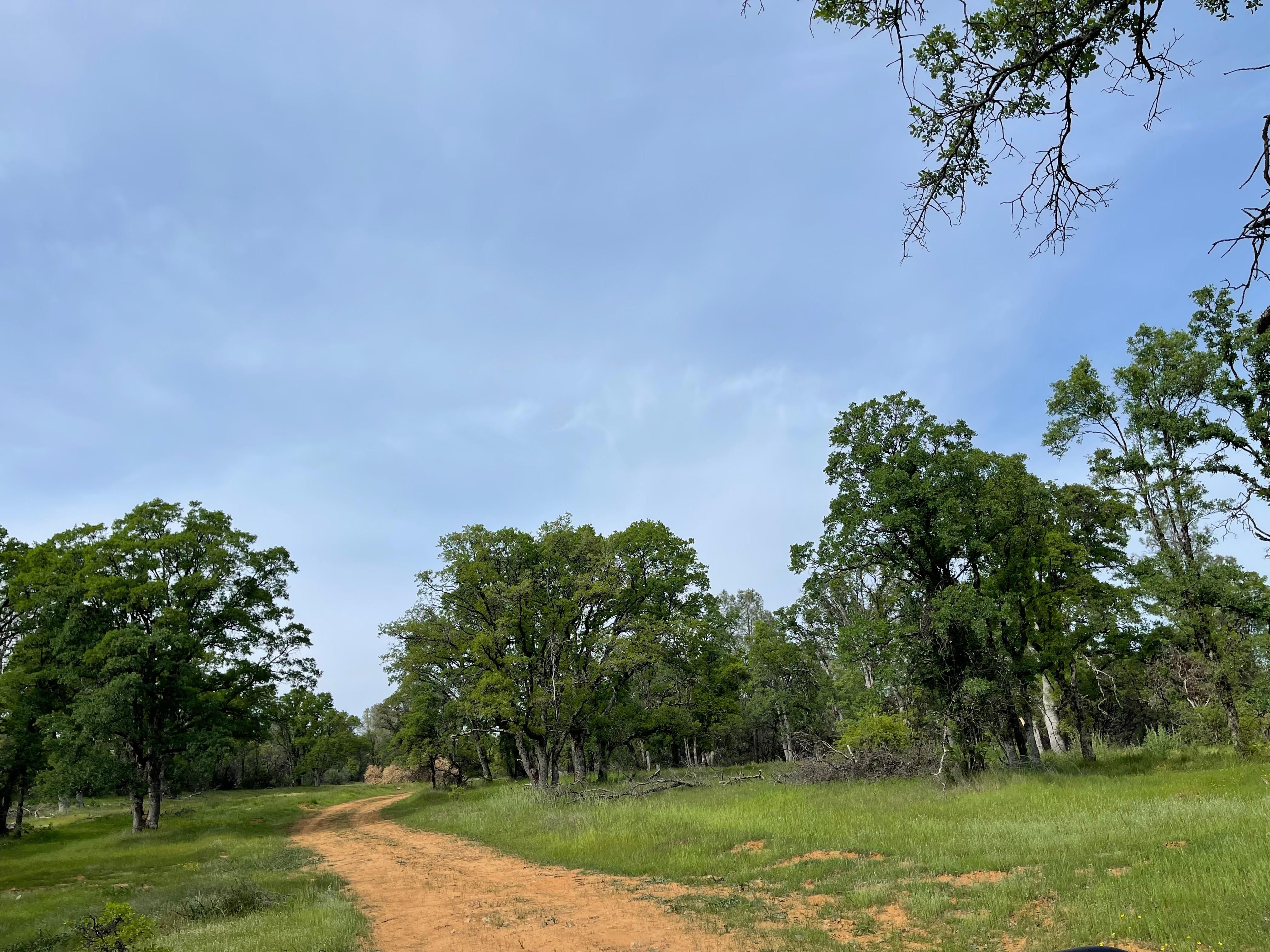 North San Juan, Nevada County, CA Farms and Ranches, Undeveloped Land