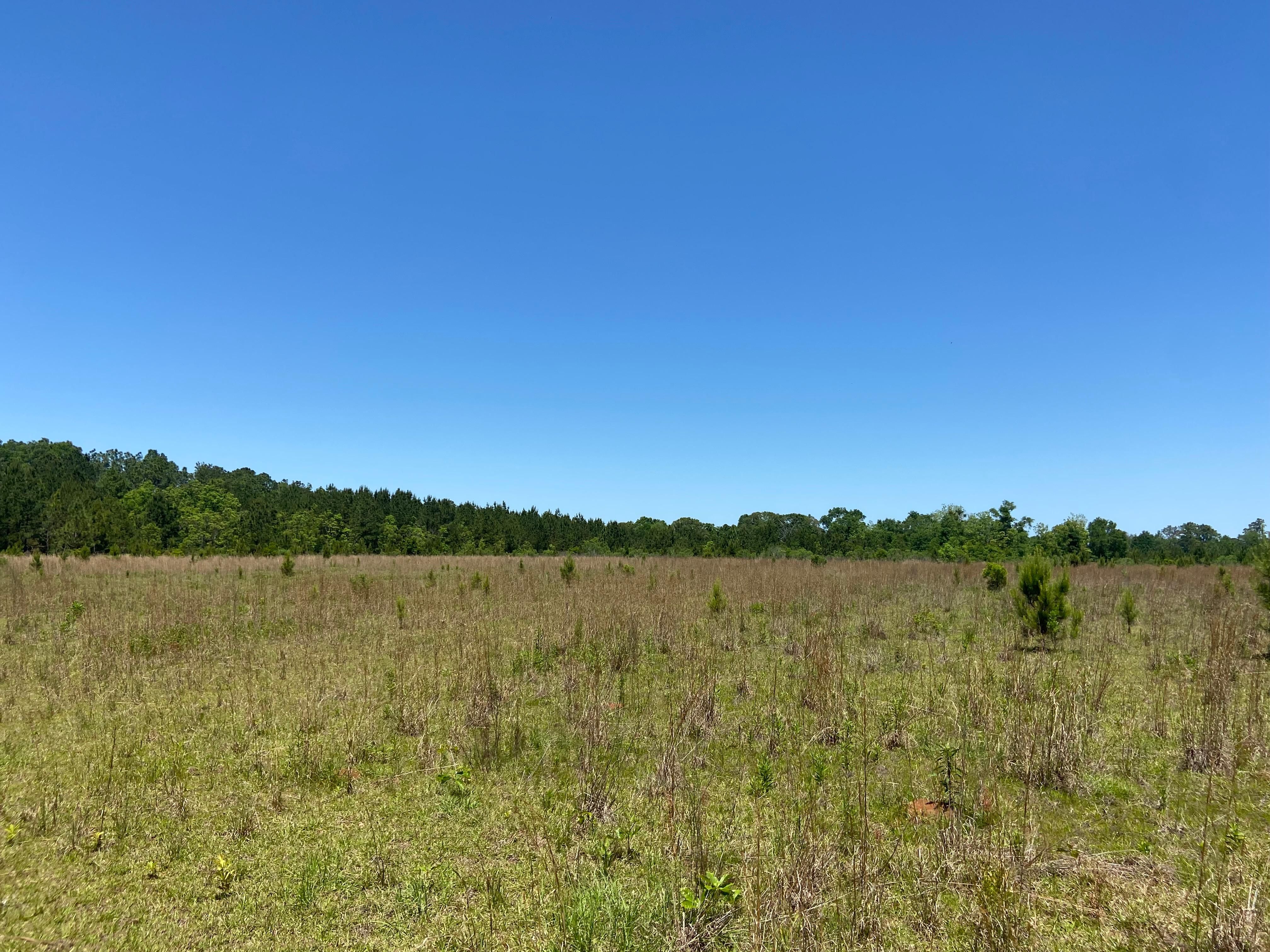 Box Rd, Semmes, AL 36575 MLS 642020 LandWatch