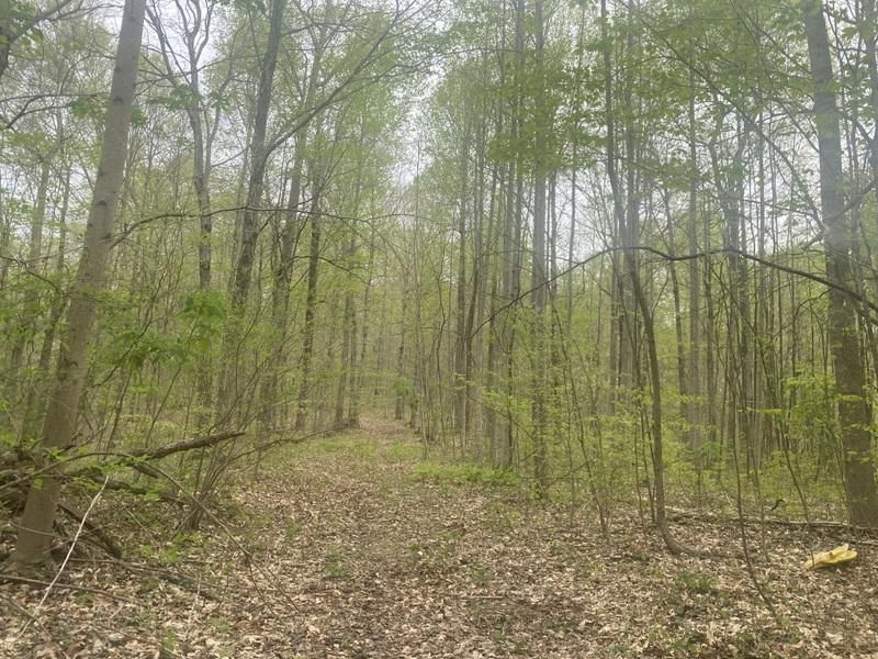 Columbia, Adair County, KY Farms and Ranches, Recreational Property