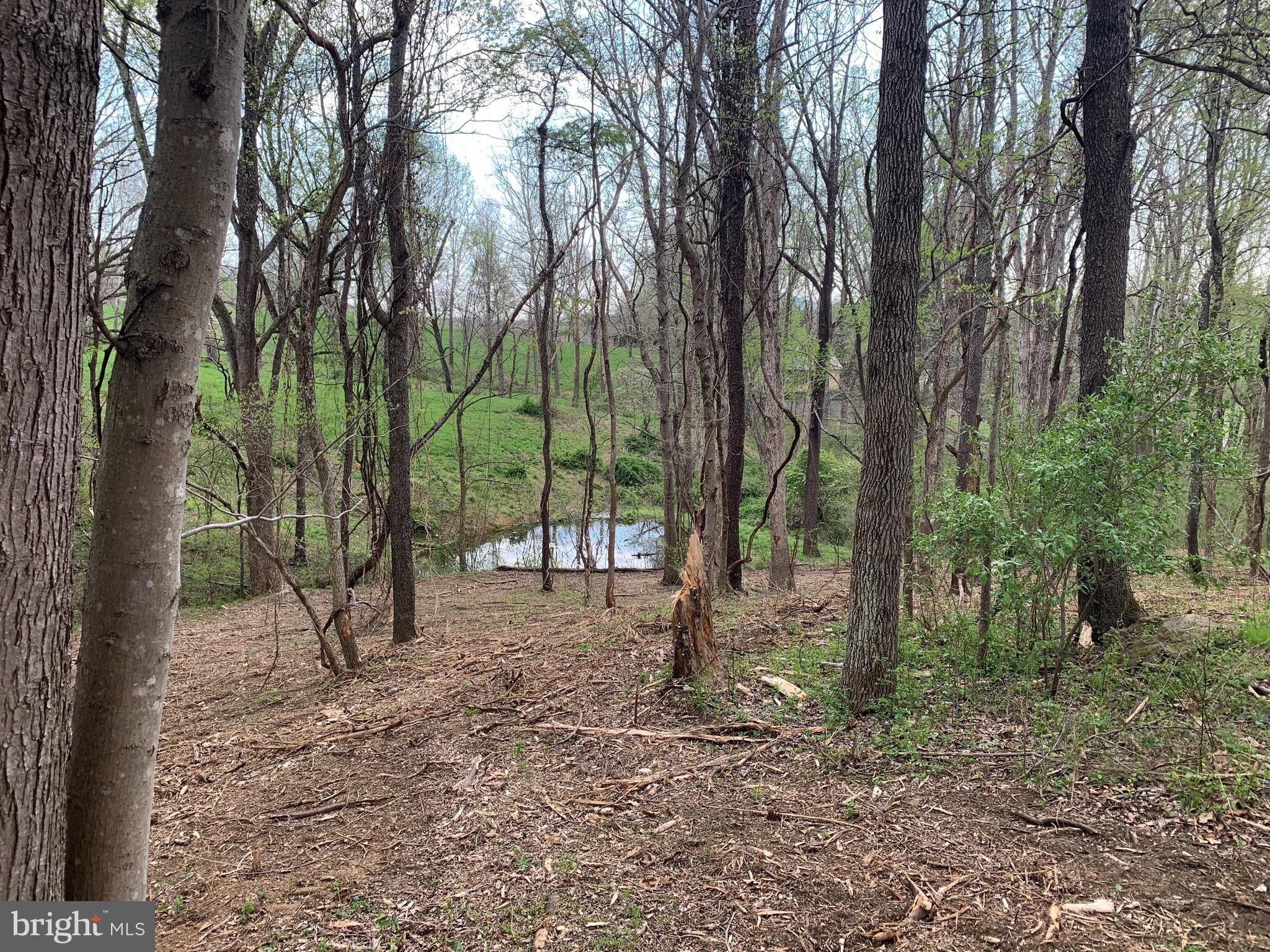 Delaplane, Fauquier County, VA Undeveloped Land, Homesites for sale