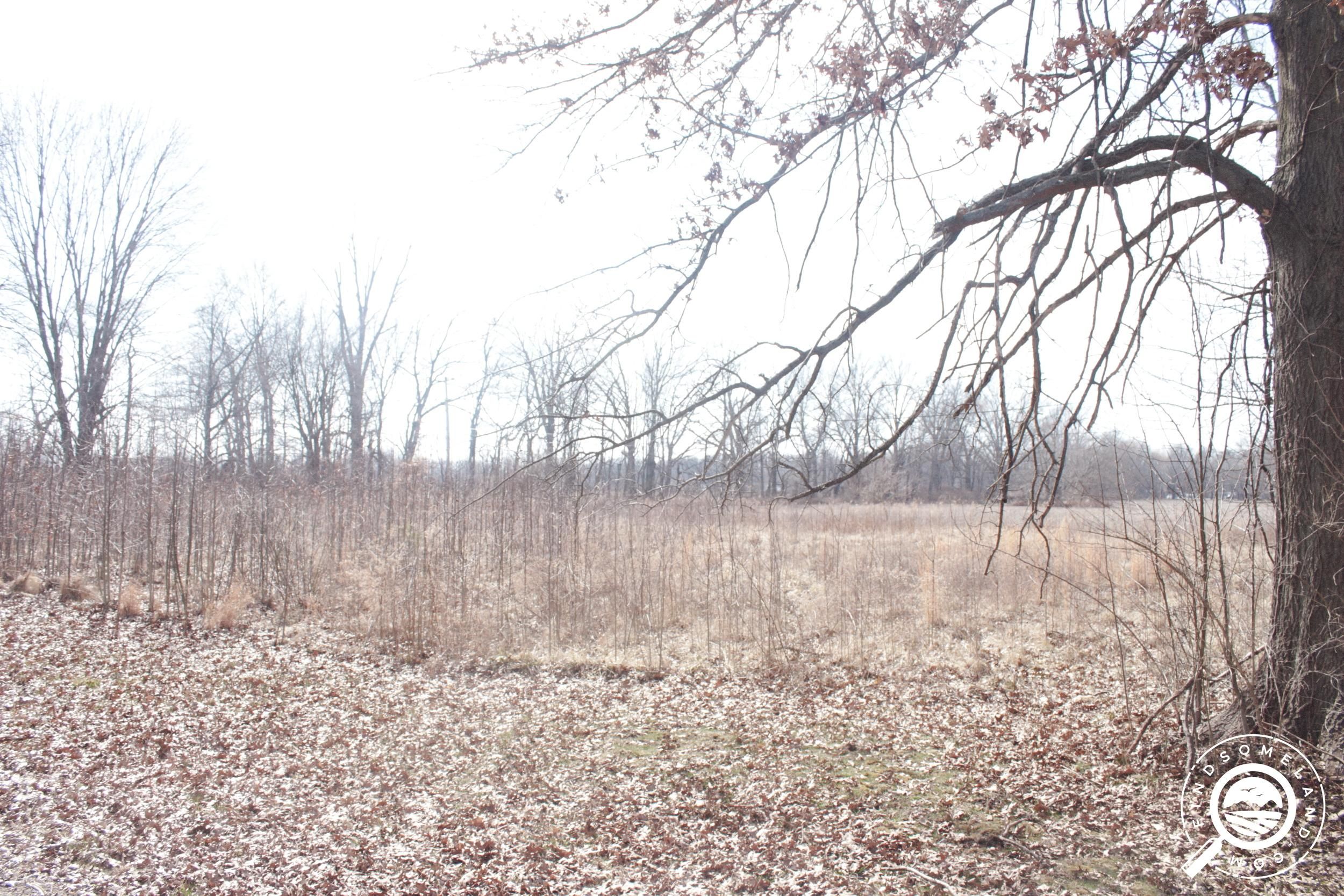 Terre Haute, Vigo County, IN Homesites for sale Property ID 413380381