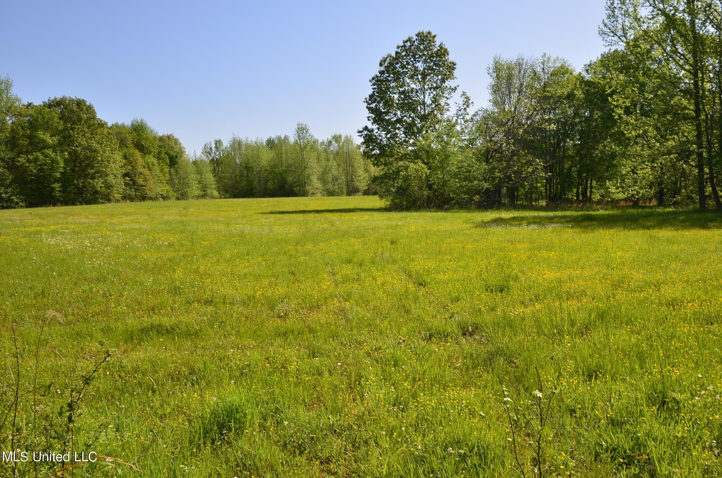 Como, Panola County, MS Undeveloped Land, Homesites for sale Property