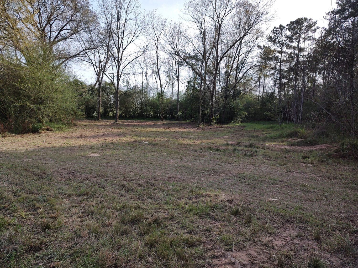 211 County Road 15, Clio, AL 36017 LandWatch