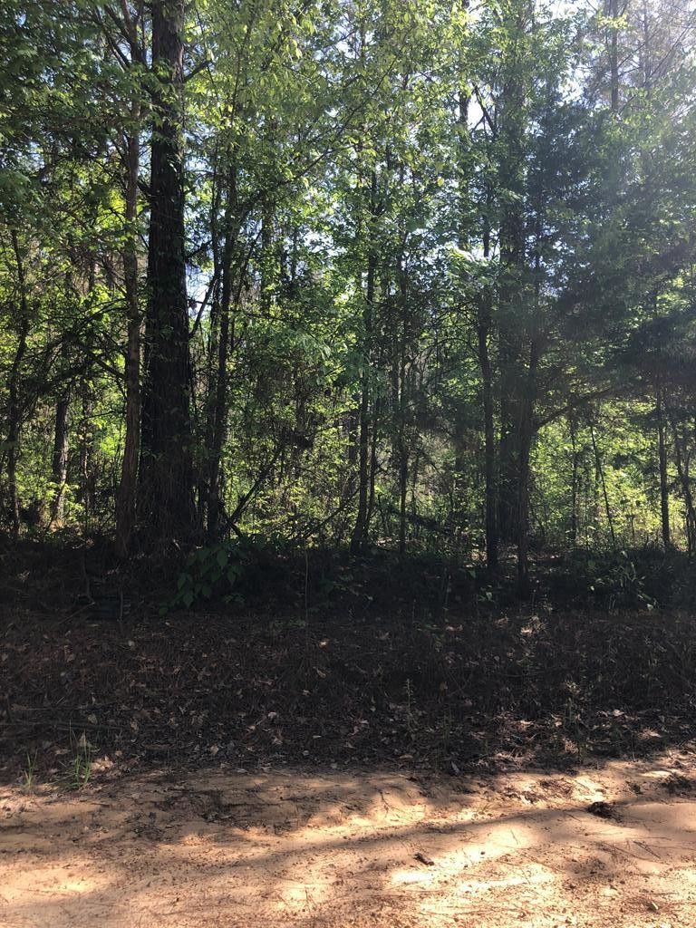Pontotoc, Pontotoc County, MS Undeveloped Land for sale Property ID