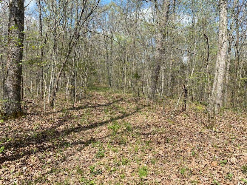 Tompkinsville, Monroe County, KY Undeveloped Land, Lakefront Property
