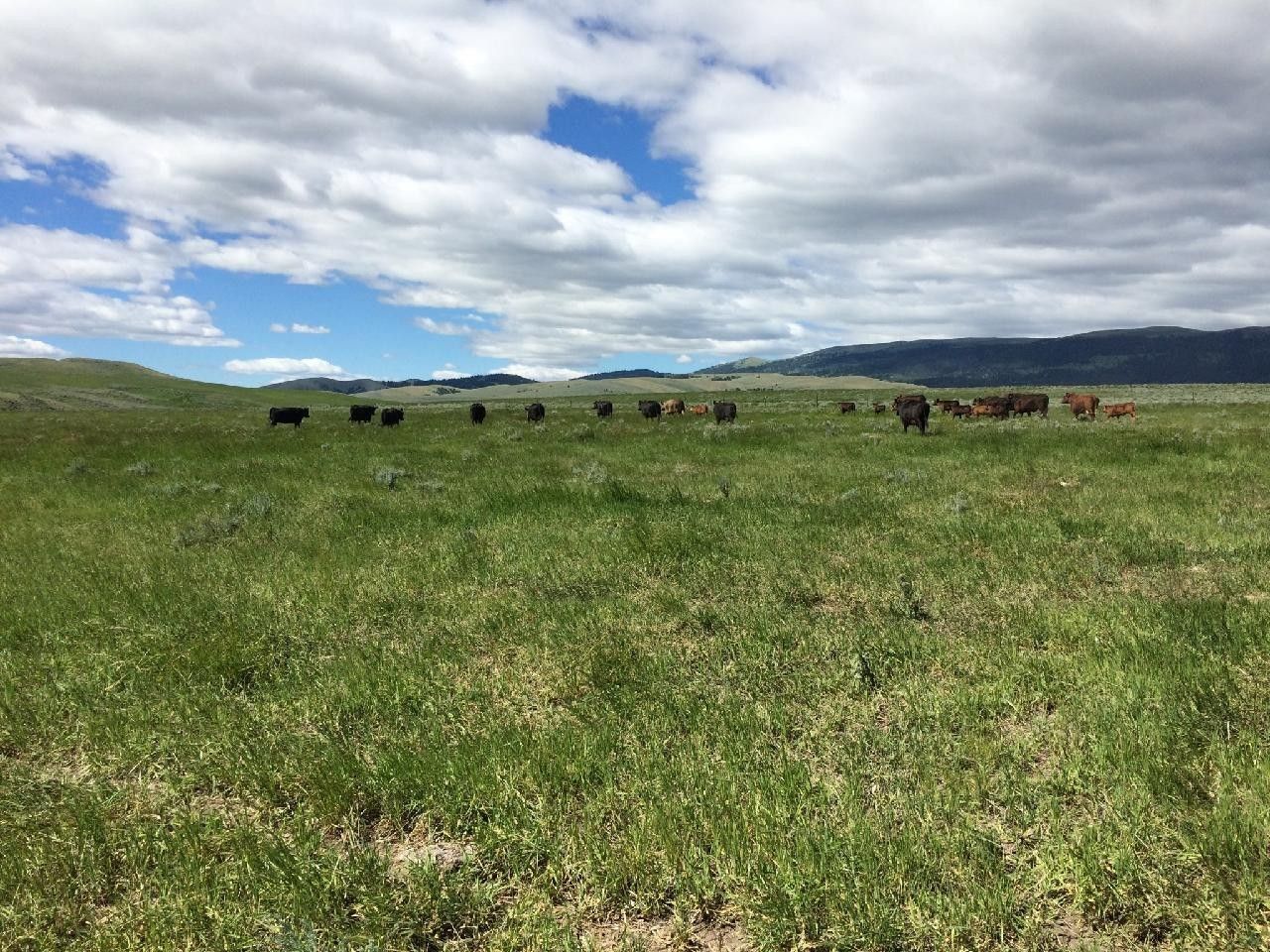 White Sulphur Springs, Meagher County, MT Farms and Ranches for sale