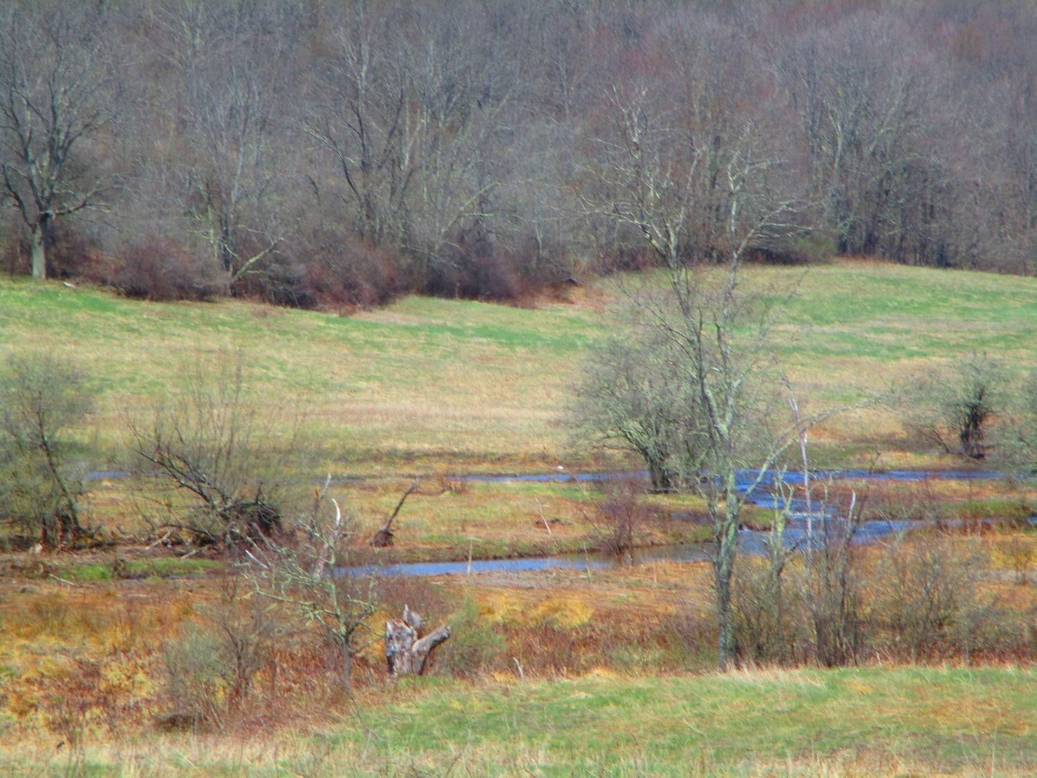 Otego, Otsego County, NY Undeveloped Land for sale Property ID