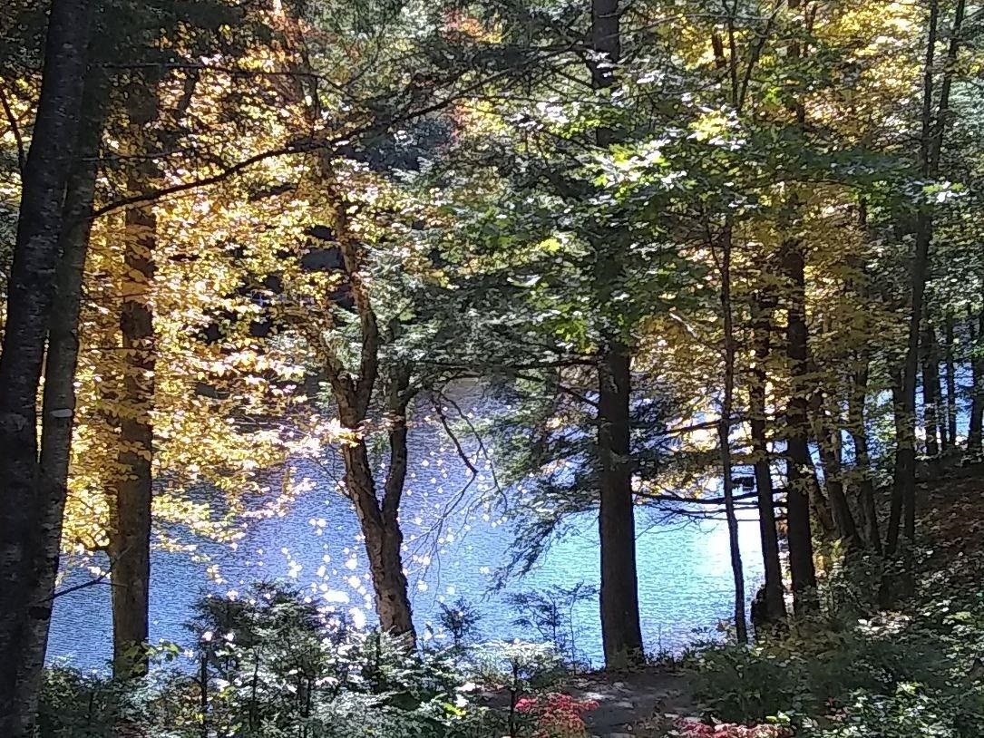 Hanover, Grafton County, NH Undeveloped Land, Lakefront Property